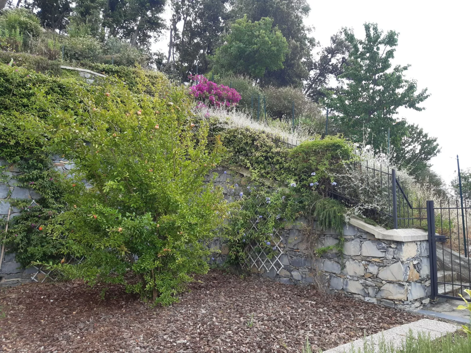 Für 4 Personen ca. 50 m&sup2; in Sestri Levante, Norditalien (Ligurien)-Draußen