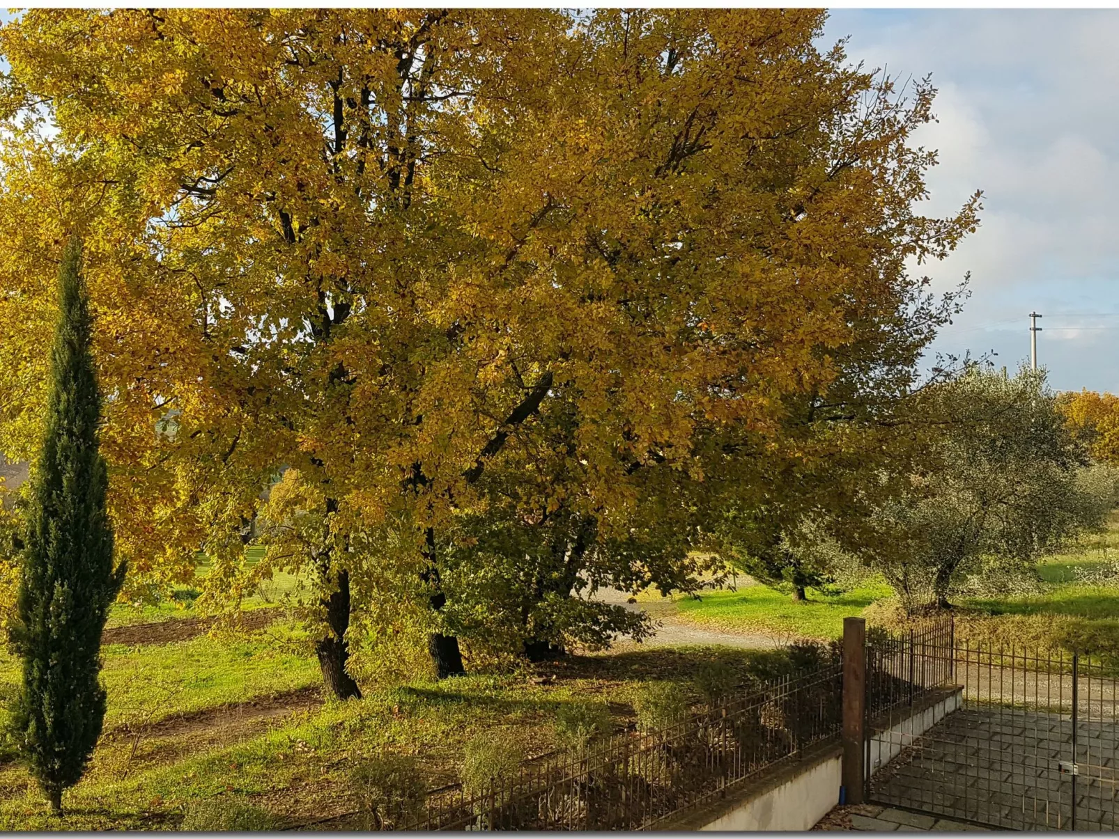 Villino Cortona - Ihre Entspannung im Herzen der Toskana.-Draußen