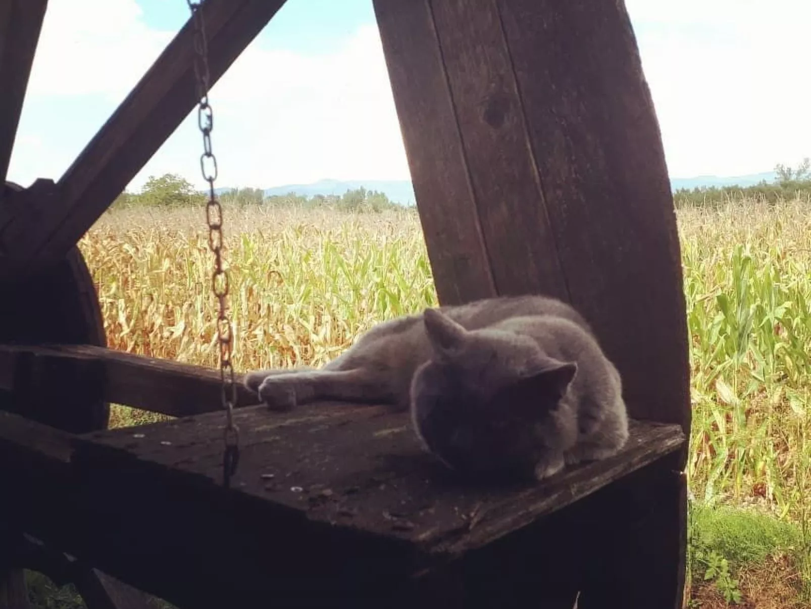 Landgut "Il Molino" mit Terrasse und Garten-Outside