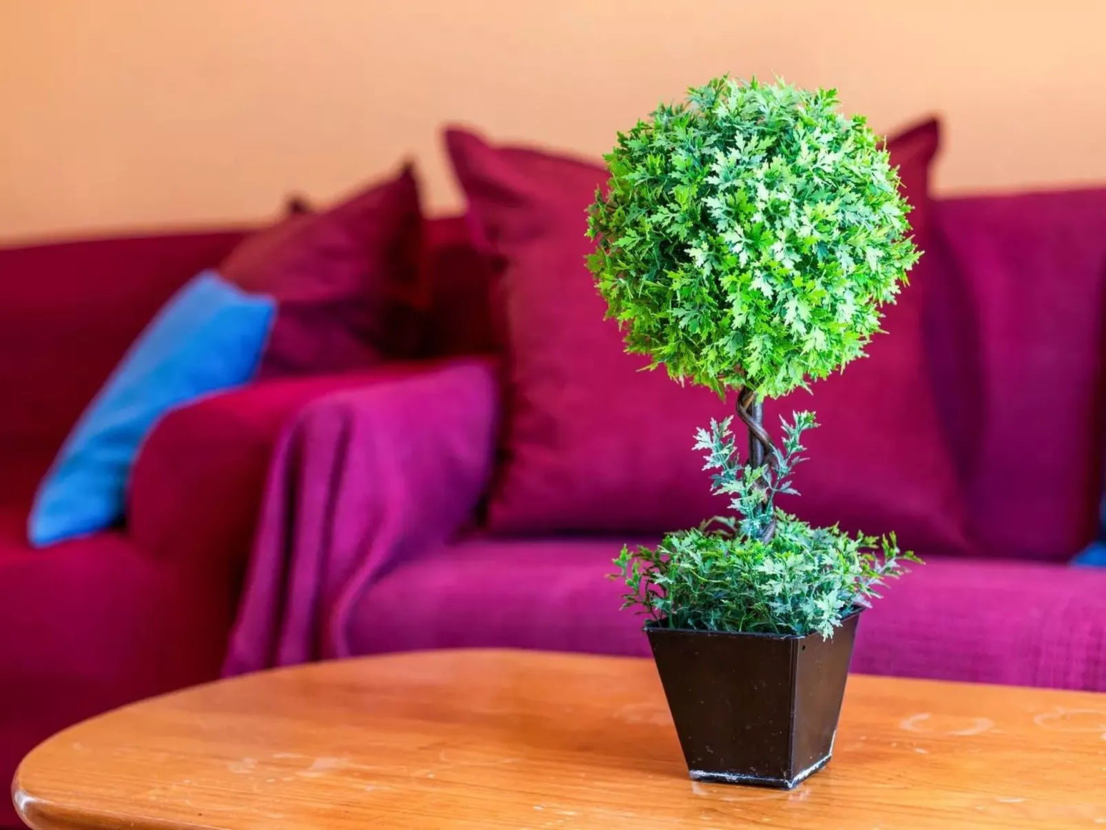 Wohnung in der besten Gegend von Costa Calma-Inside