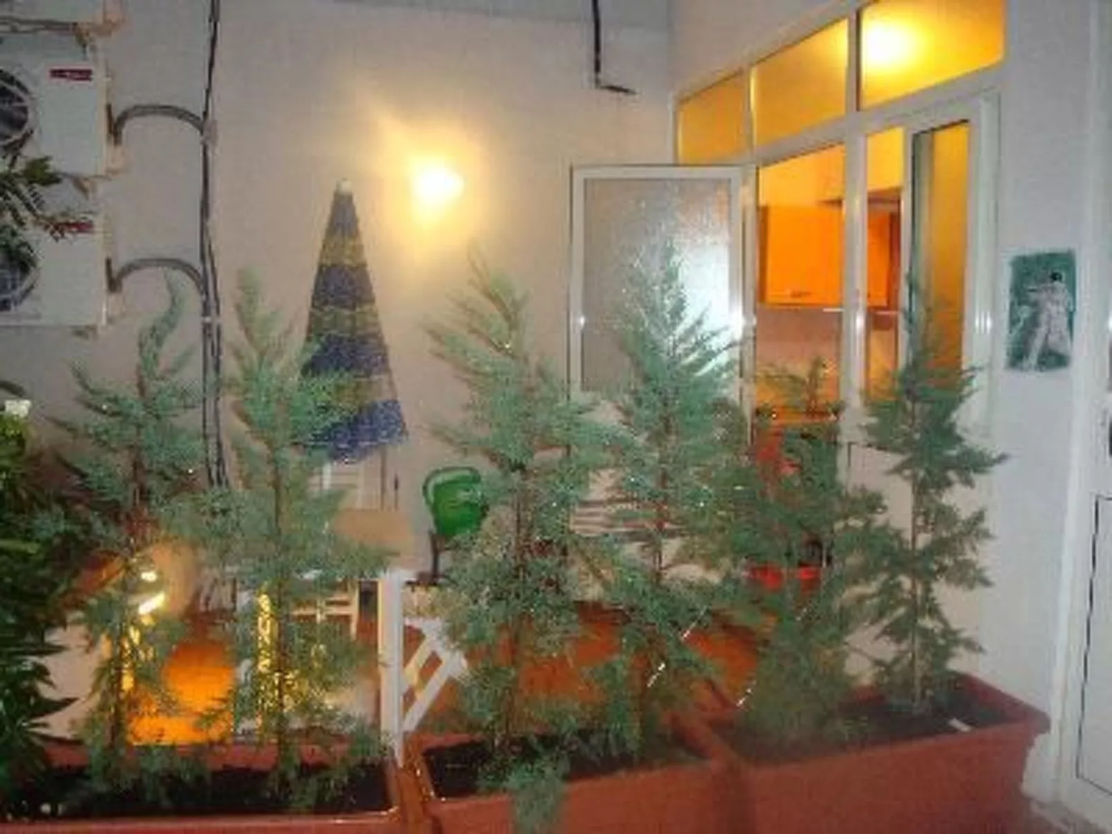 Wohnung in Palermo mit Terrasse-Image-tags.info