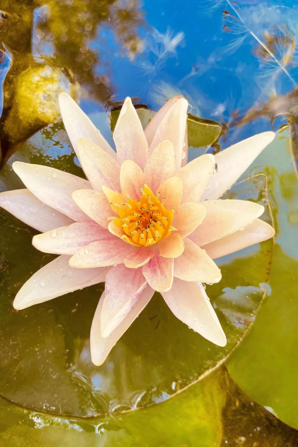 Sonnenstrahl-Image-tags.info