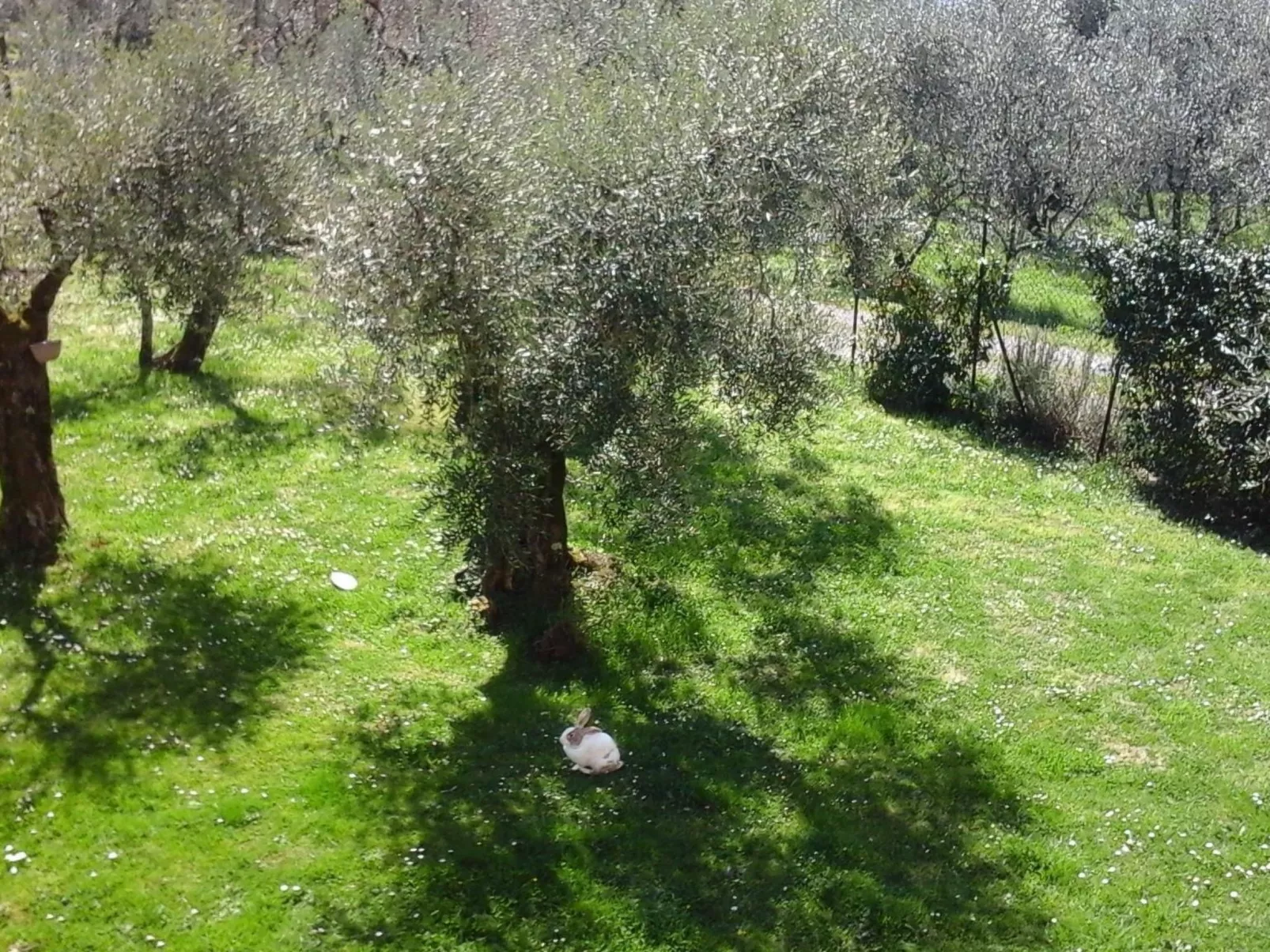 Die Scheune von Penelope-Outside