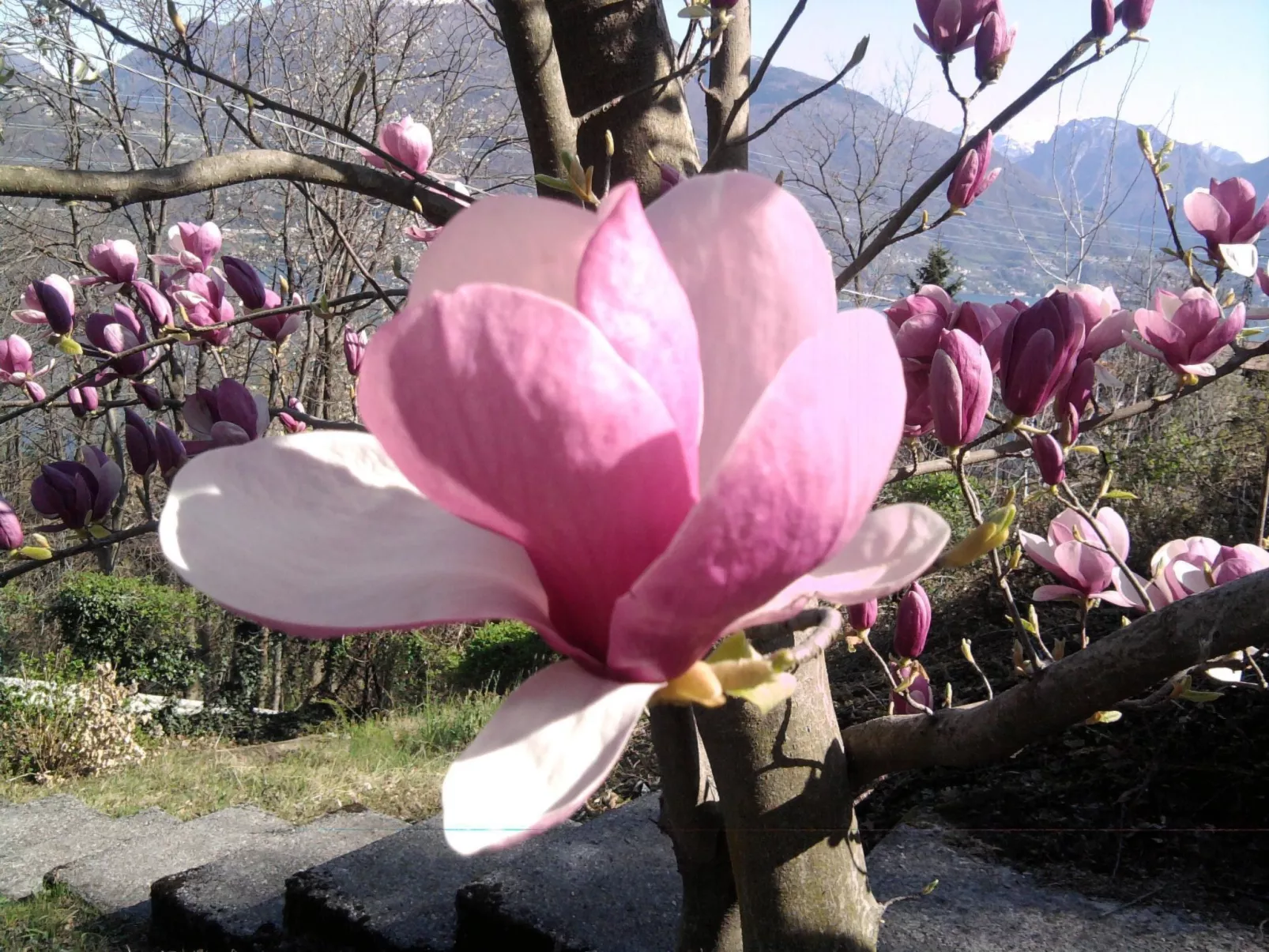 Casa Tornina-Draußen