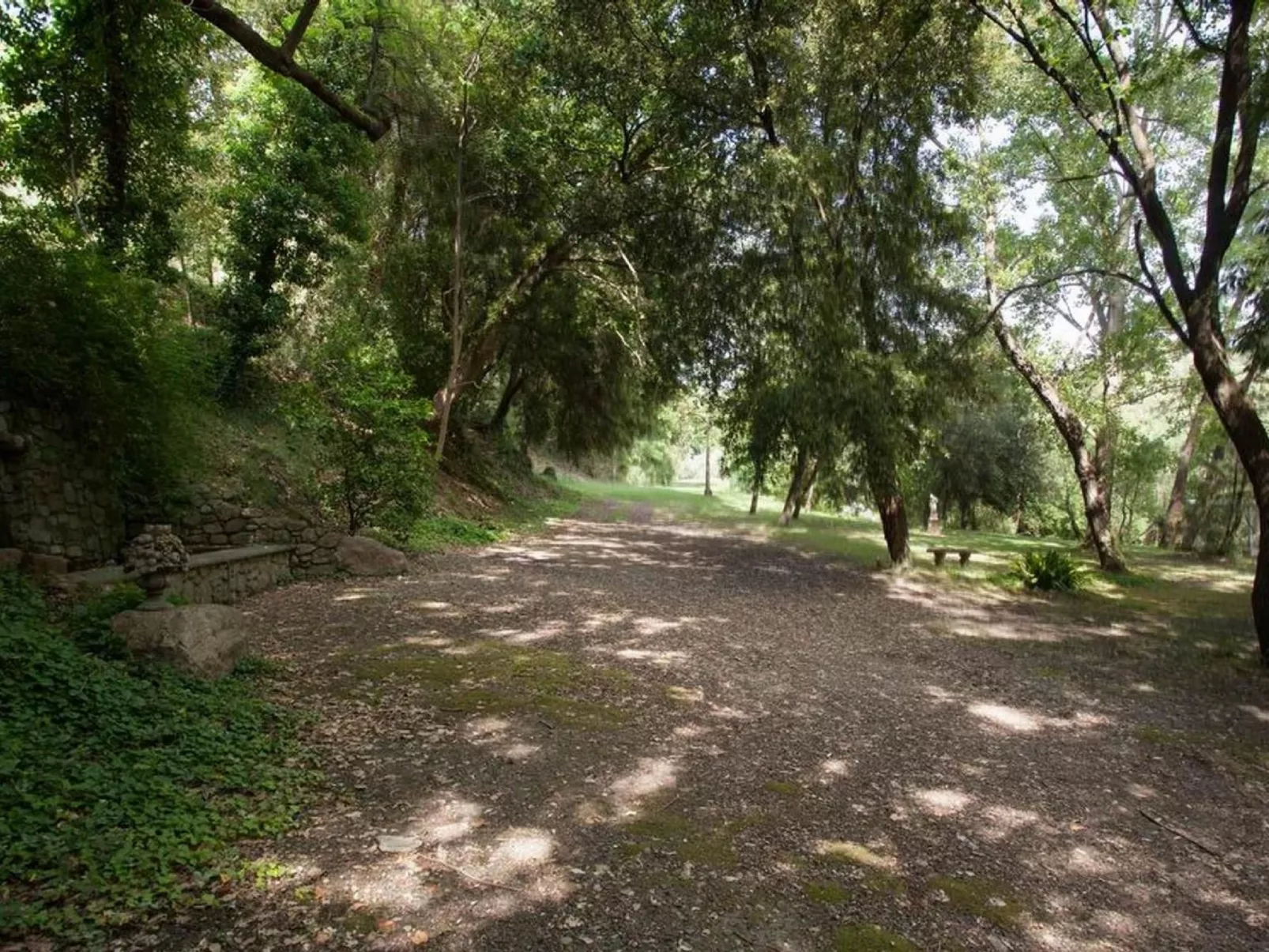 Molino-Studio-Image-tags.info