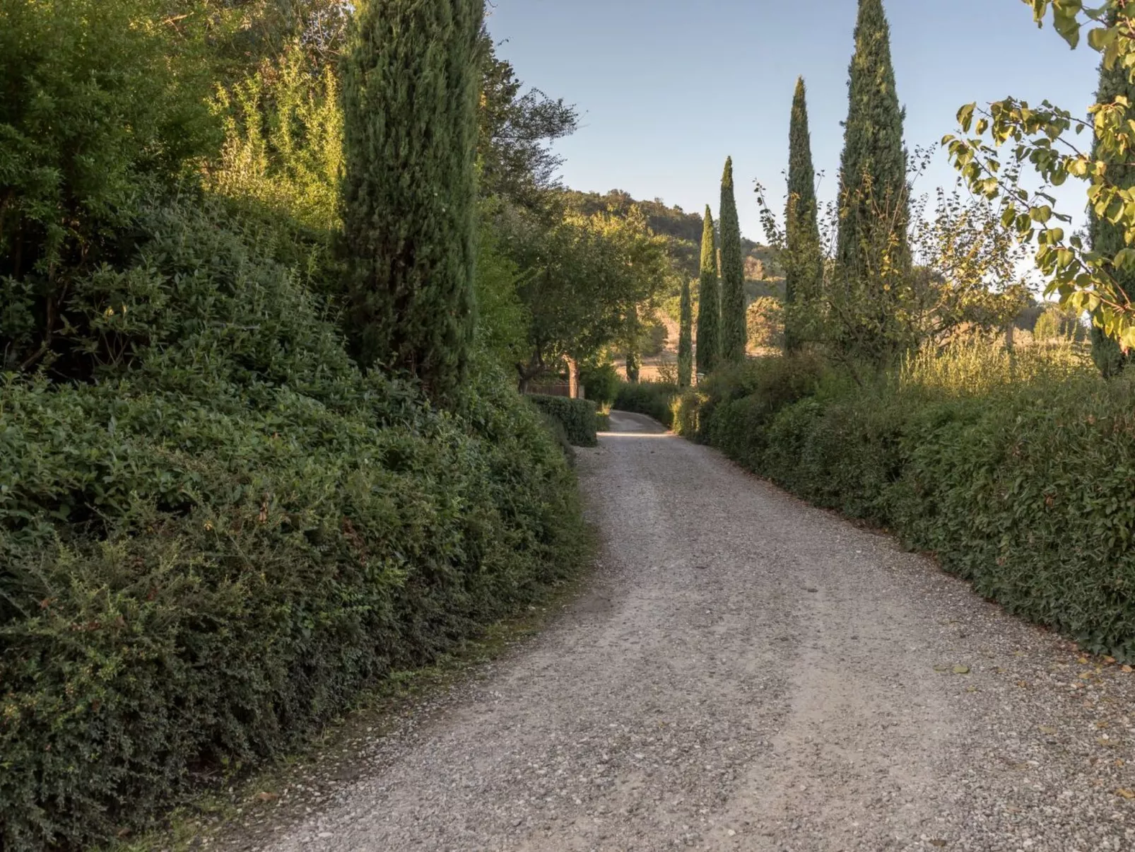 Wohnung Colle di Val d'Elsa-Draußen