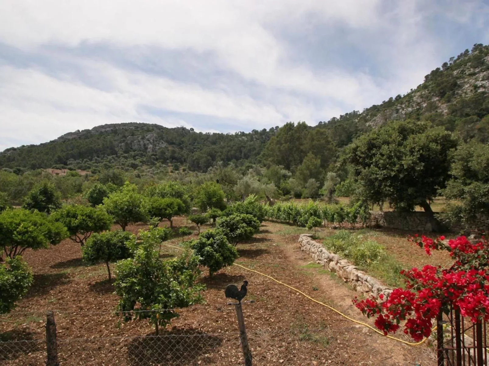 Guillo. 300 Jahre Geschichte an einem zeitlosen Ort-Image-tags.info