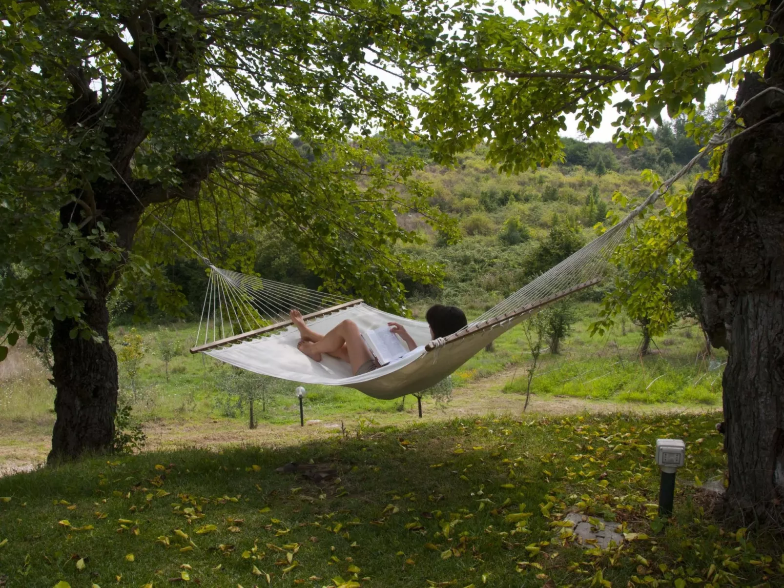 Wohnung in Figline Valdarno mit Gemeinschaftspool-Image-tags.info