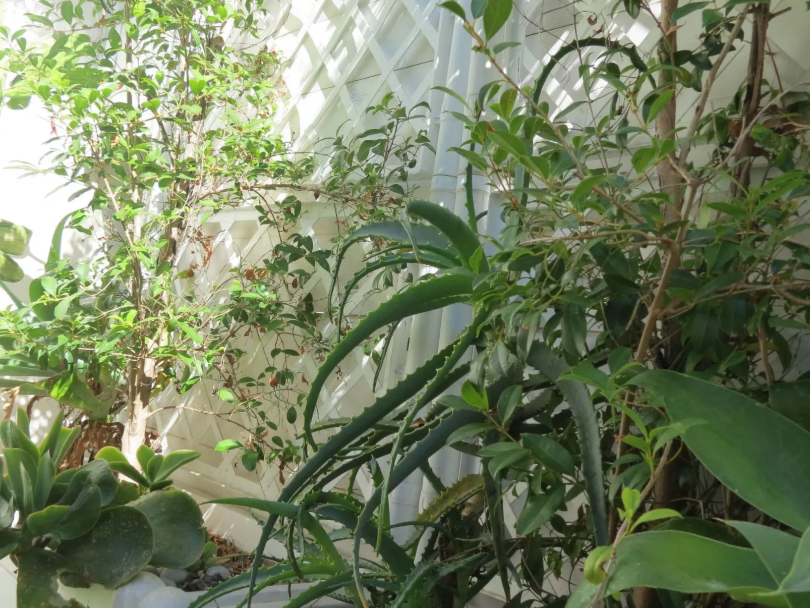 Strandhauswohnung mit Wasserblick-Image-tags.info