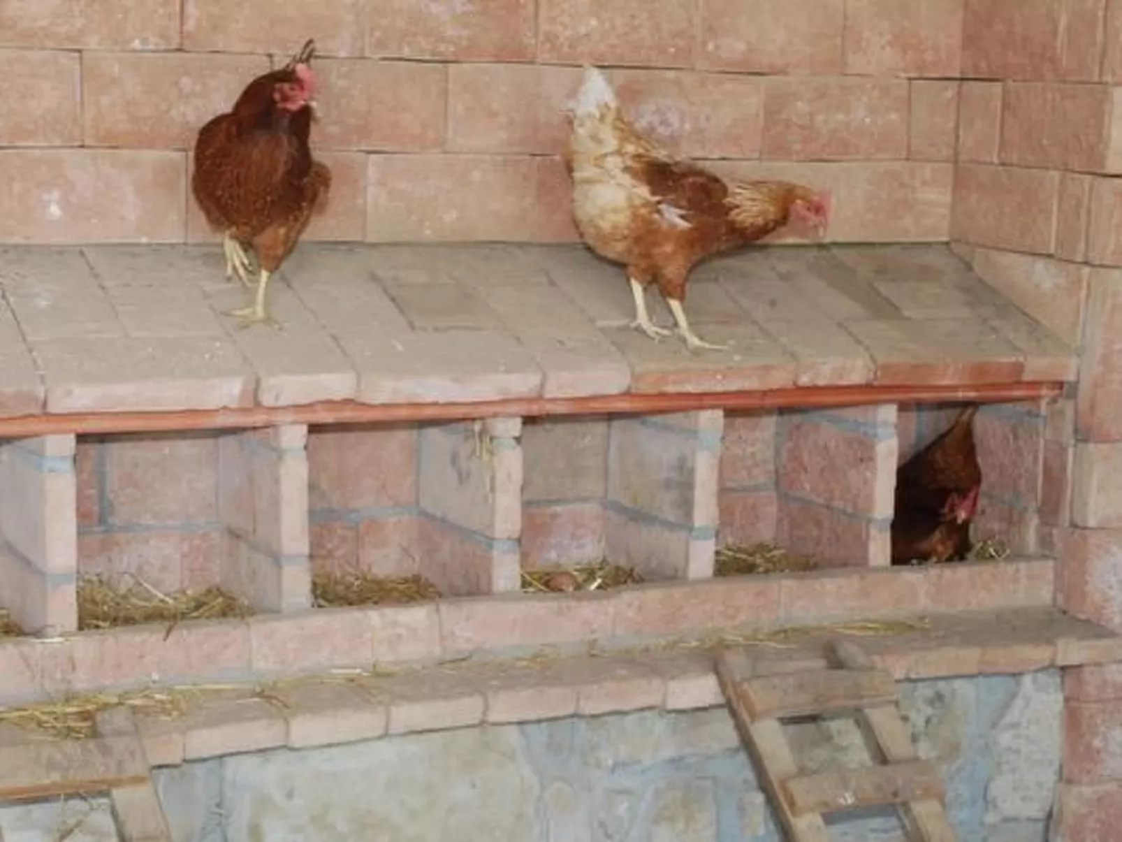 "Cal Serveró." mit Terrasse-Image-tags.info