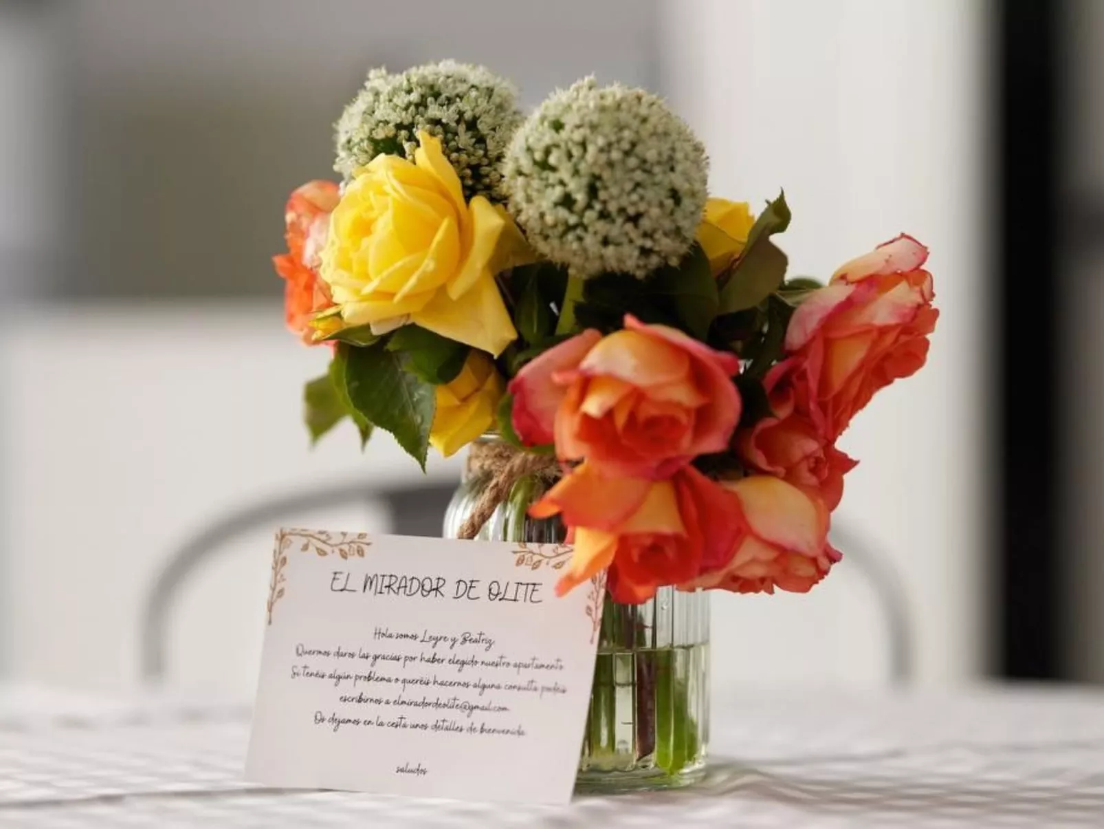 El Mirador de Olite-Inside