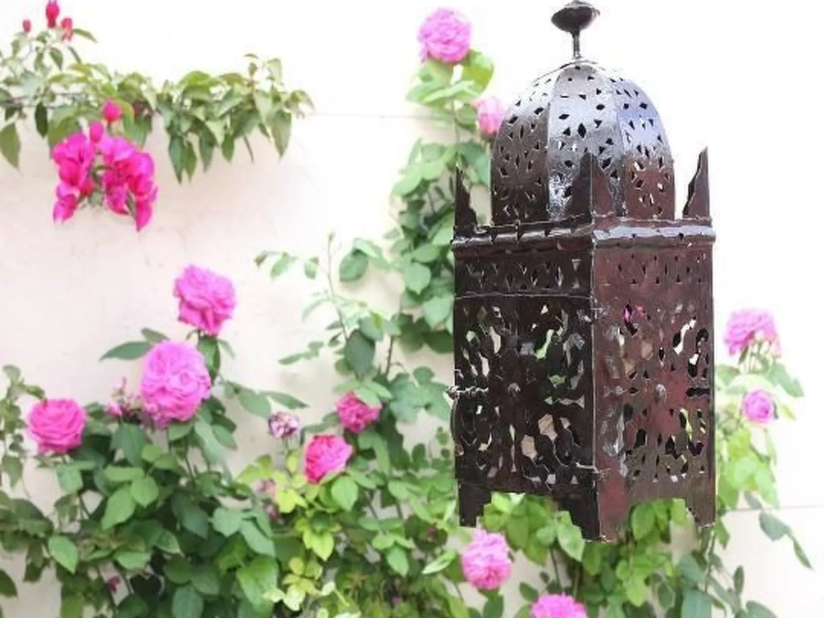 Casa Dolores-Image-tags.info