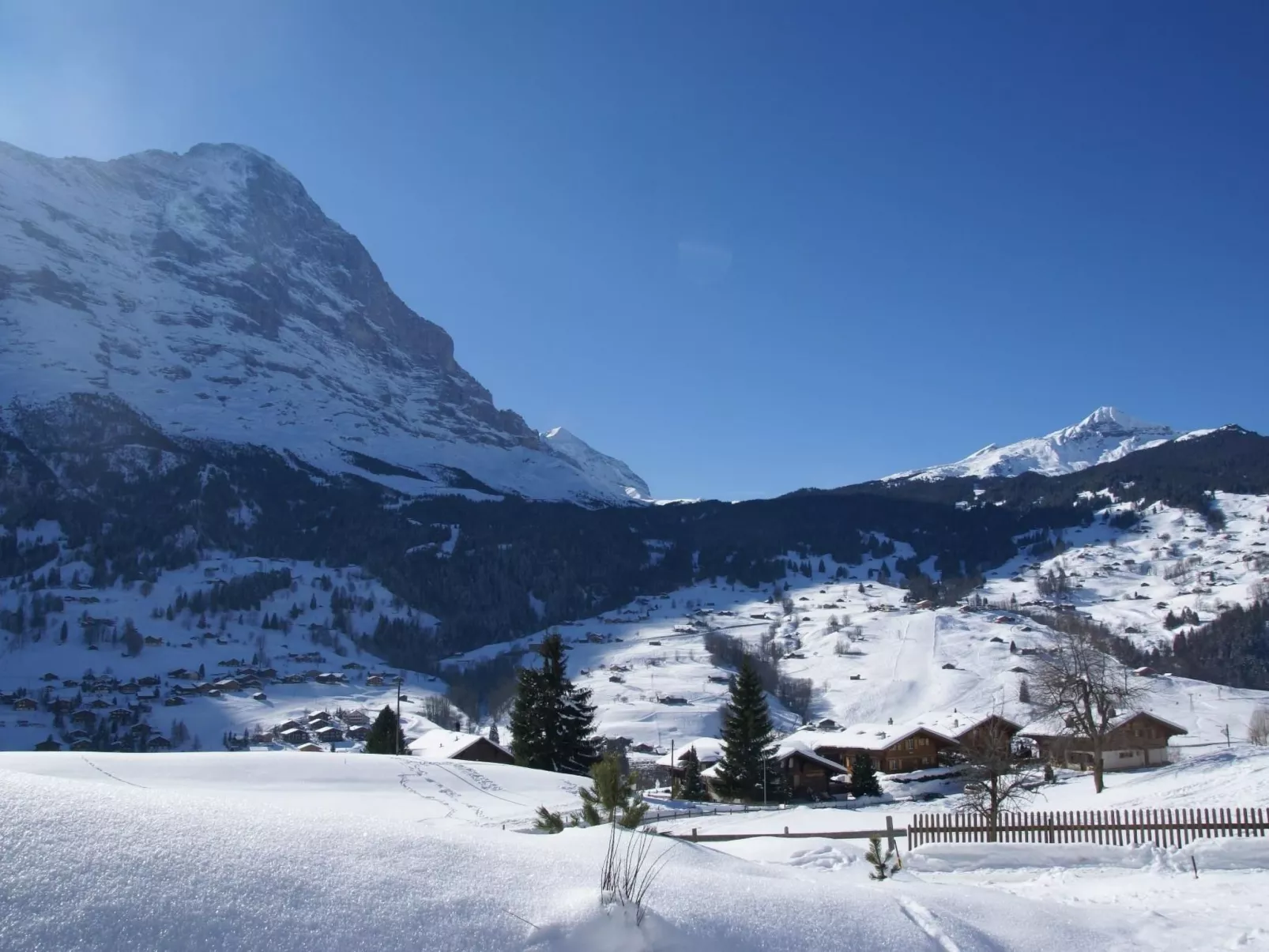 Apartment Bärgrose-Draußen