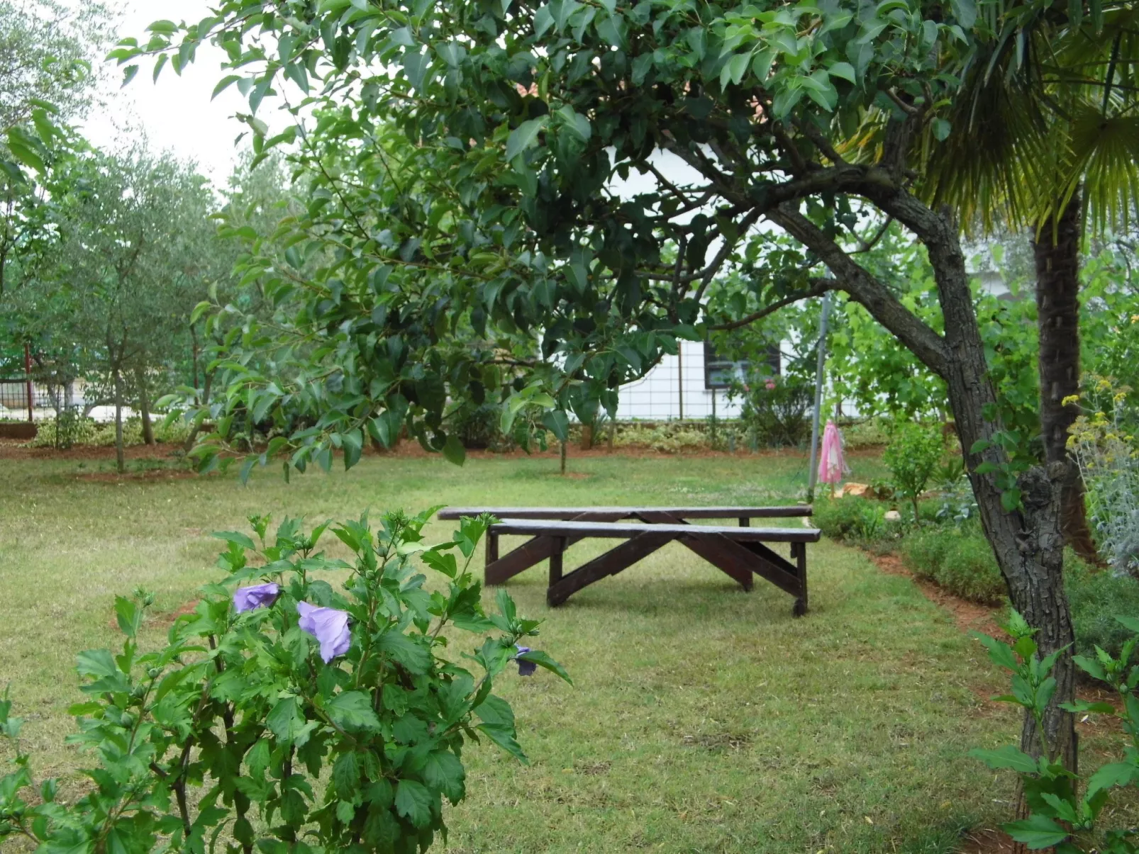 "Einfach, aber schön."-Outside