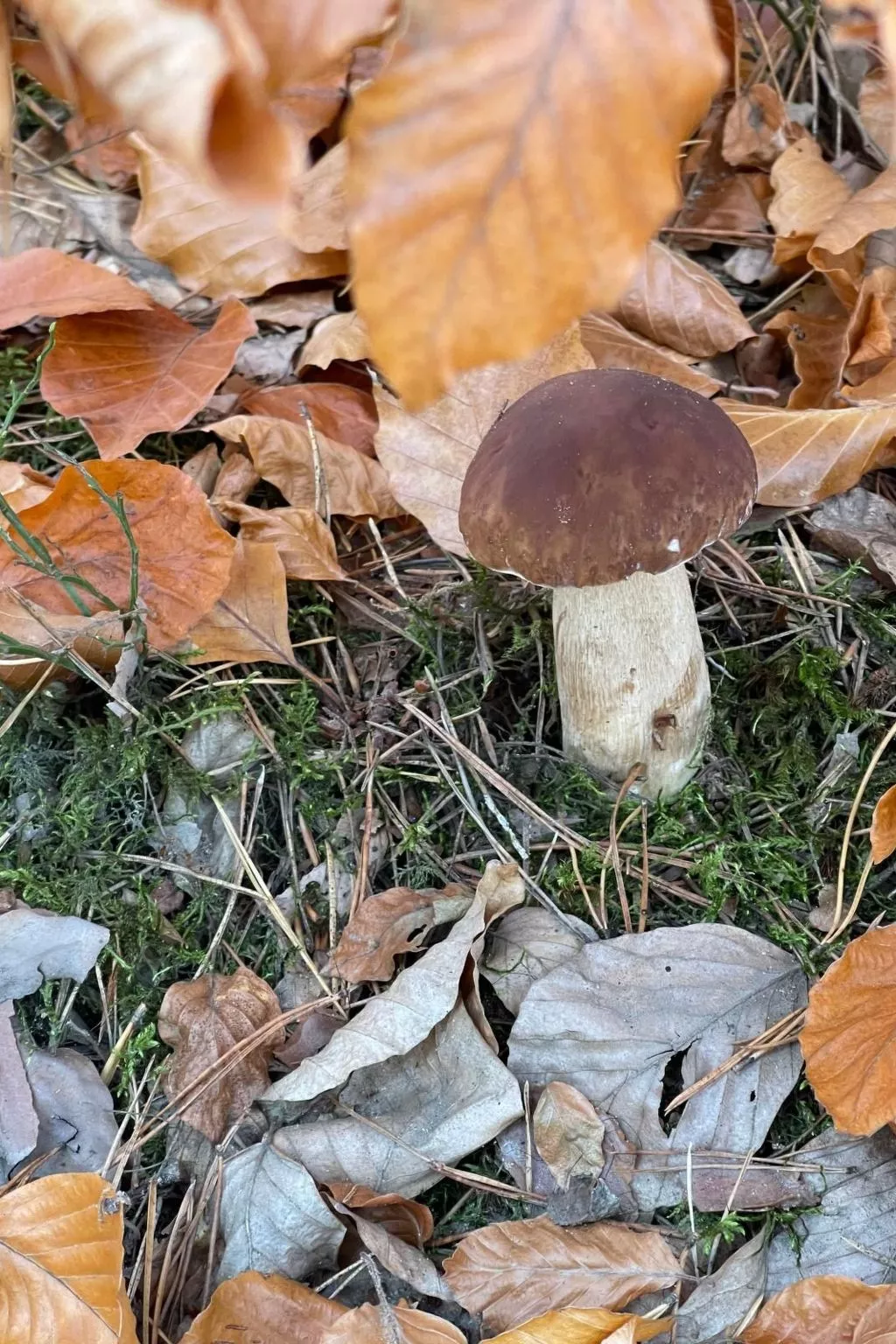 Vogelecke - abseits des Trubels und der Hektik-Draußen