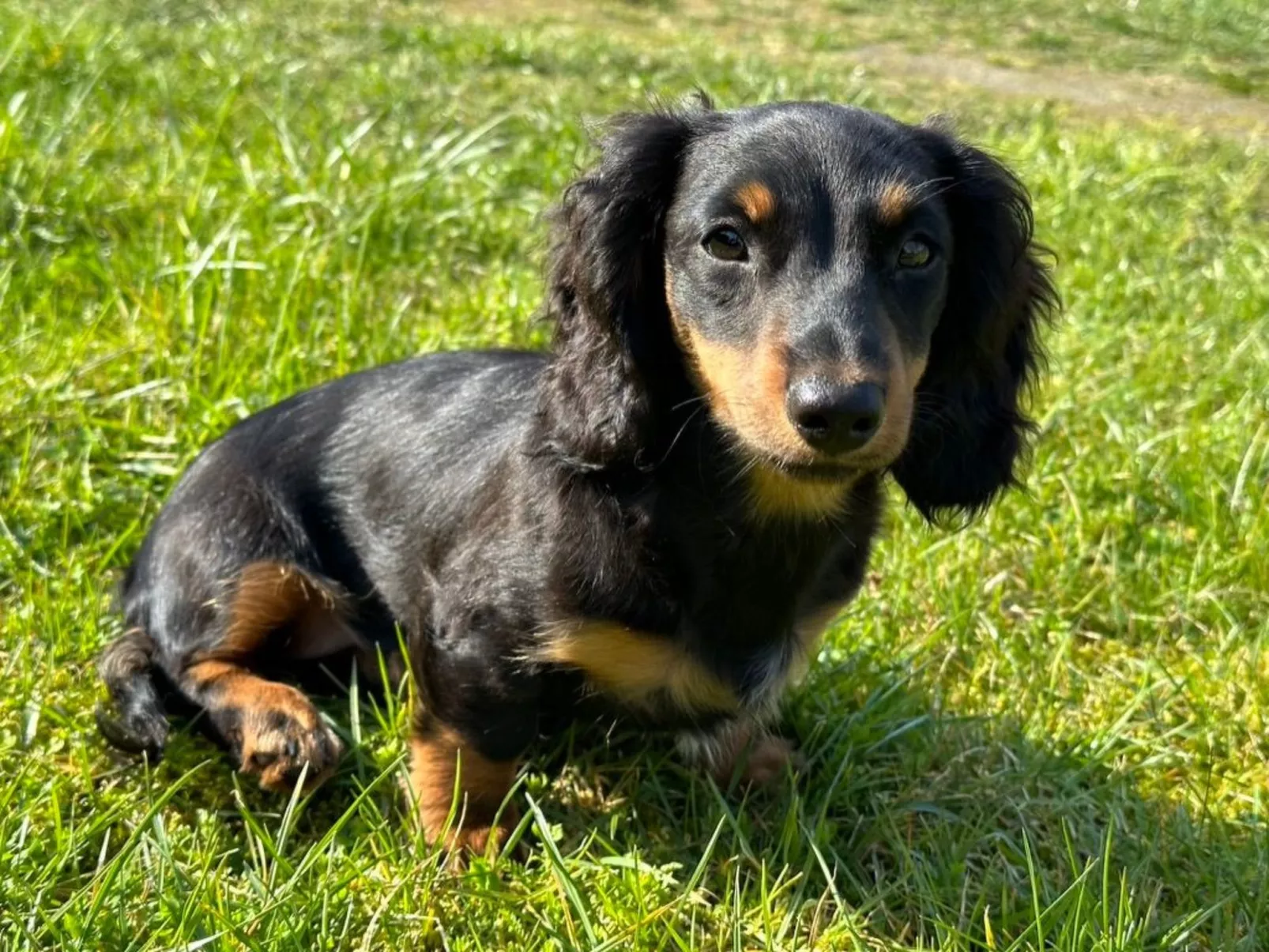 Familie Wiegert-Outside