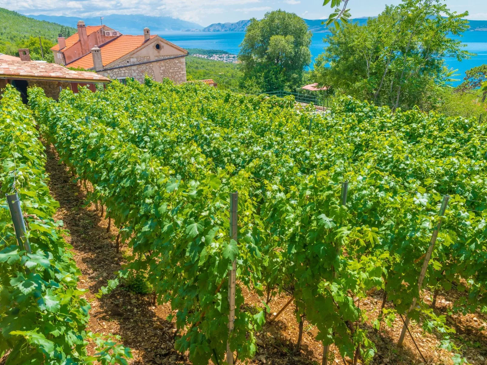 Ferienvilla Vesna in Crikvenica-Dehors