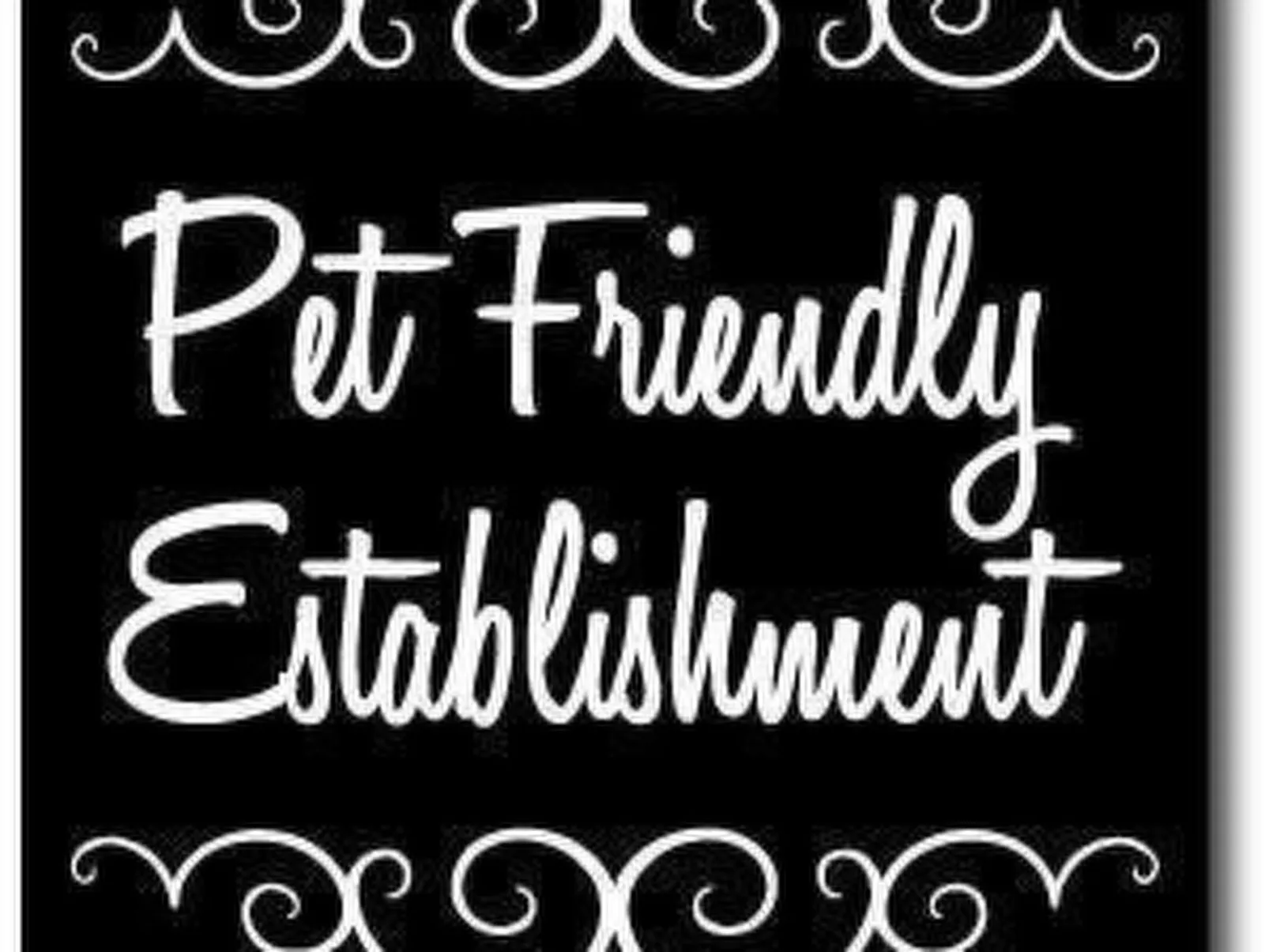 Ferienvilla Ivanka in Crikvenica-Image-tags.info