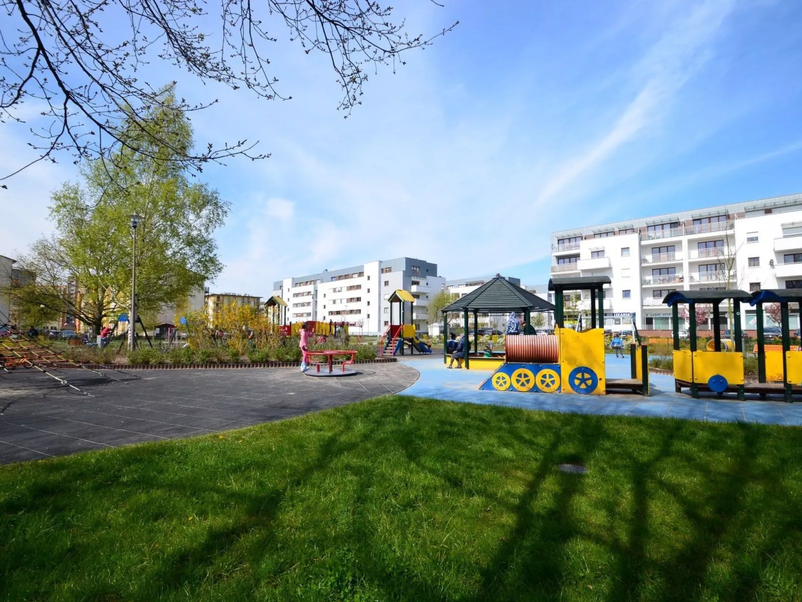 Platan 2-Image-tags.info