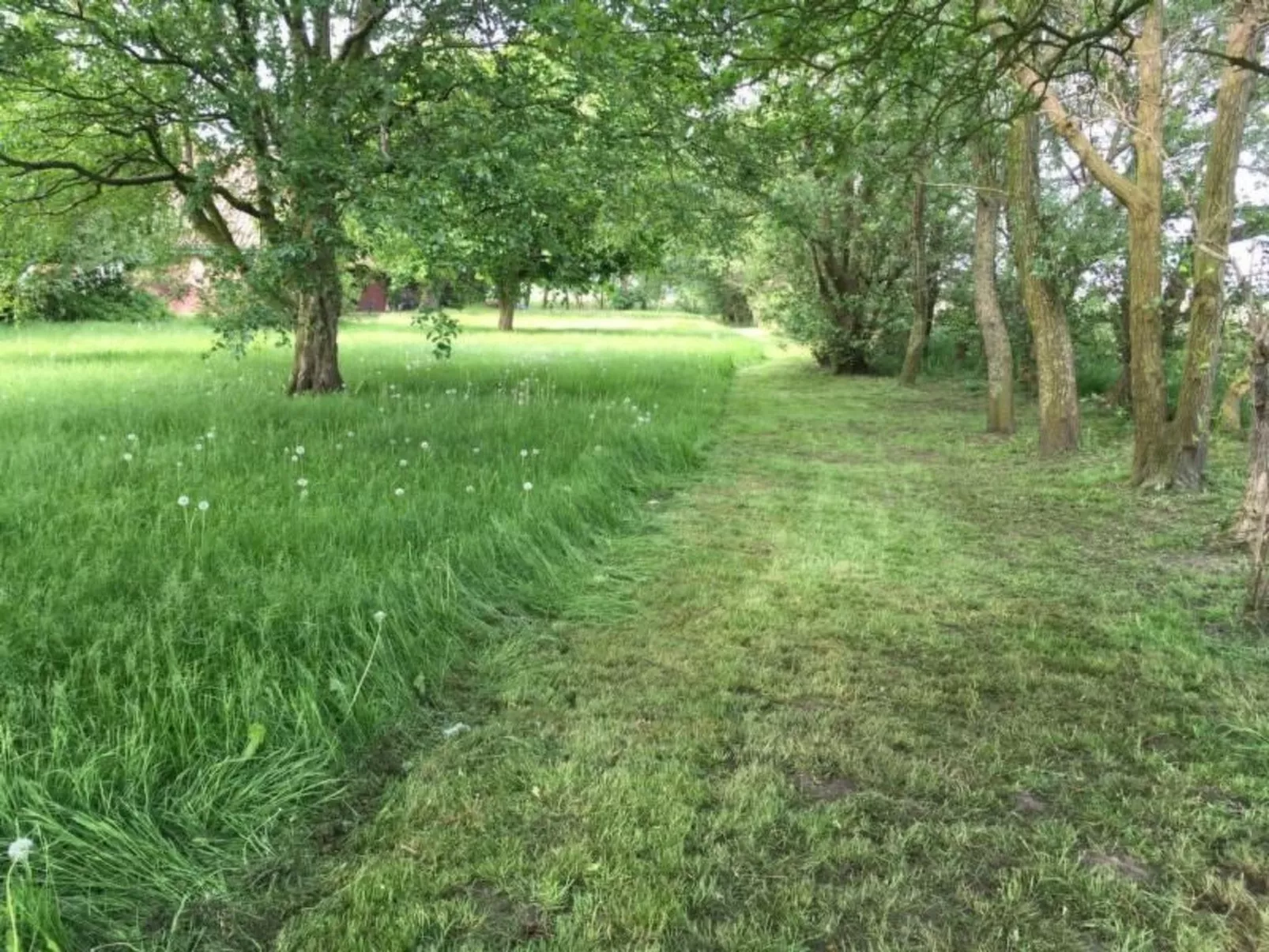 Deichhof Tossens-Draußen