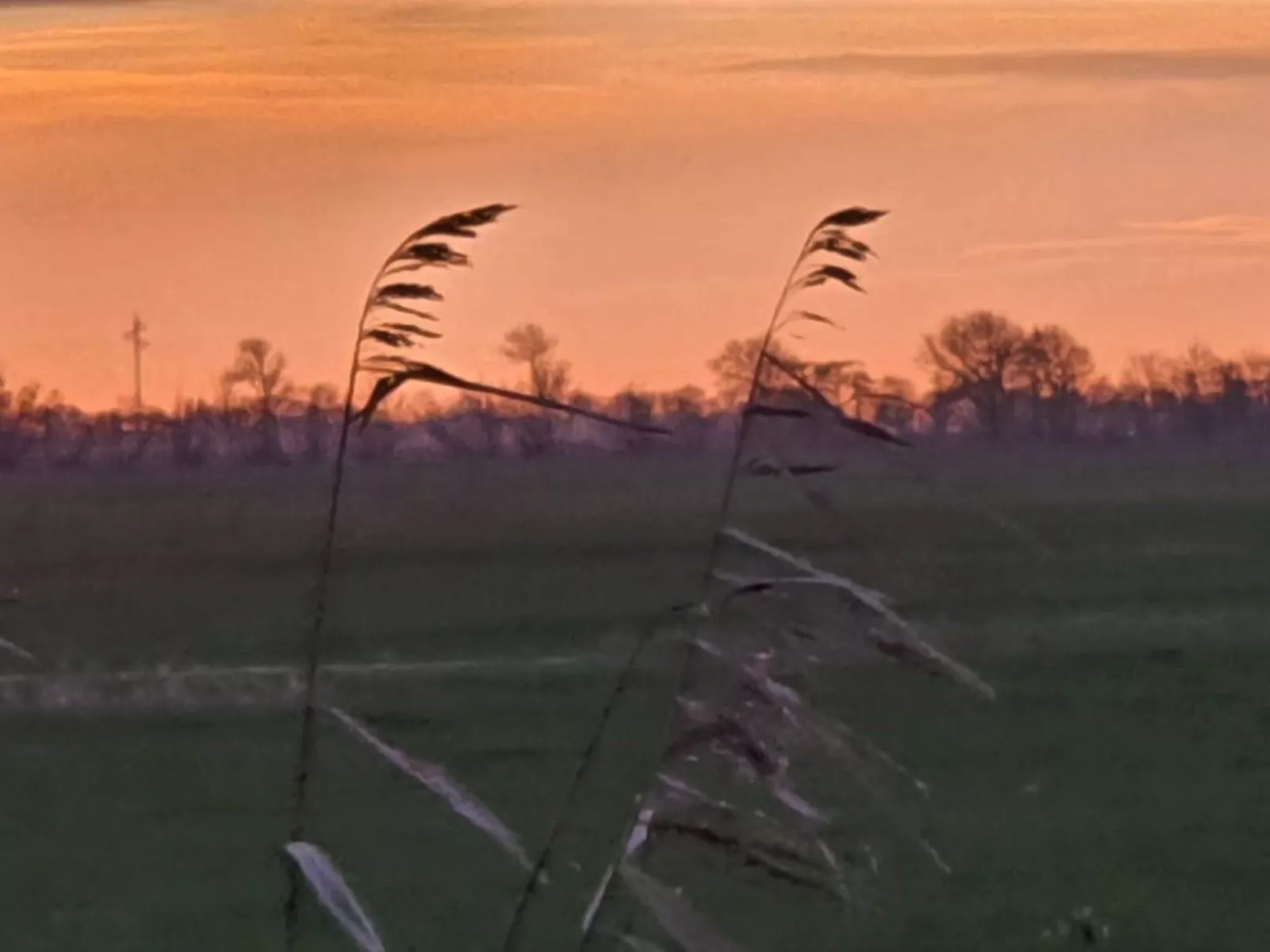 Friesenhof-Image-tags.info