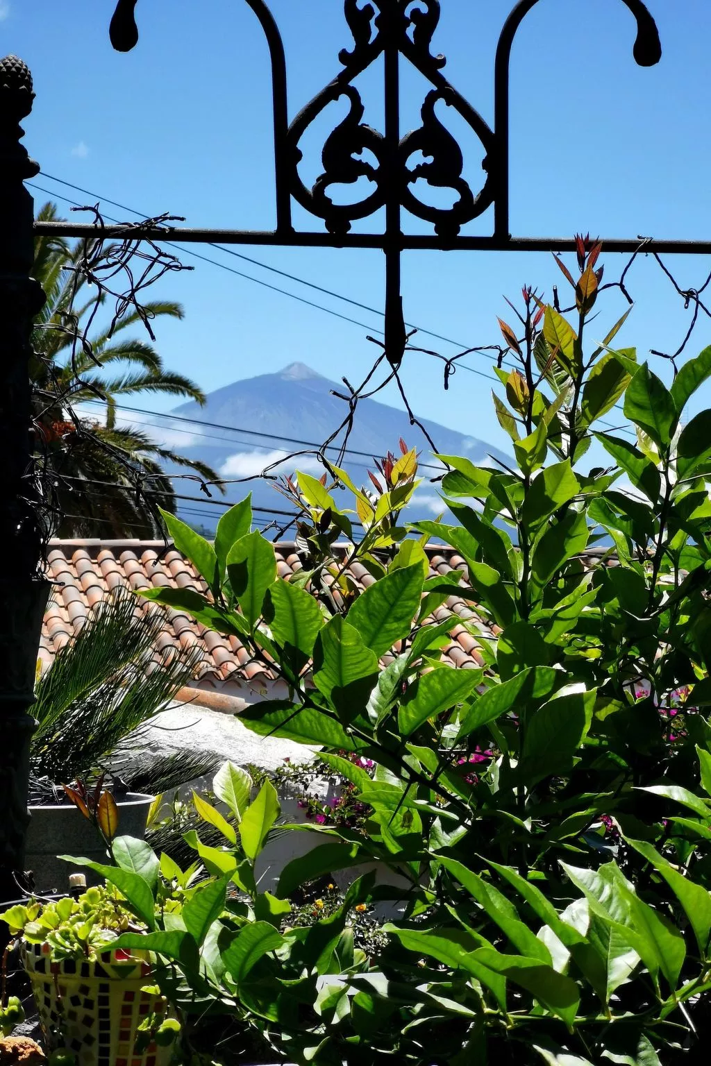 Renovierte Finca Paradies mit privatem Pool-Dehors