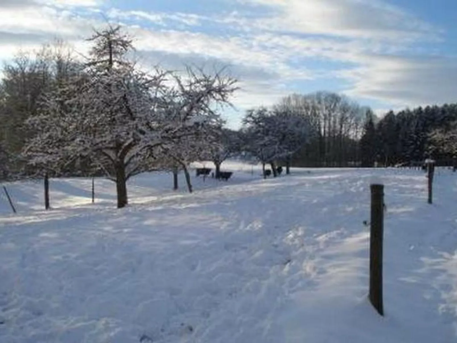 Biohof-Enderlin-Draußen
