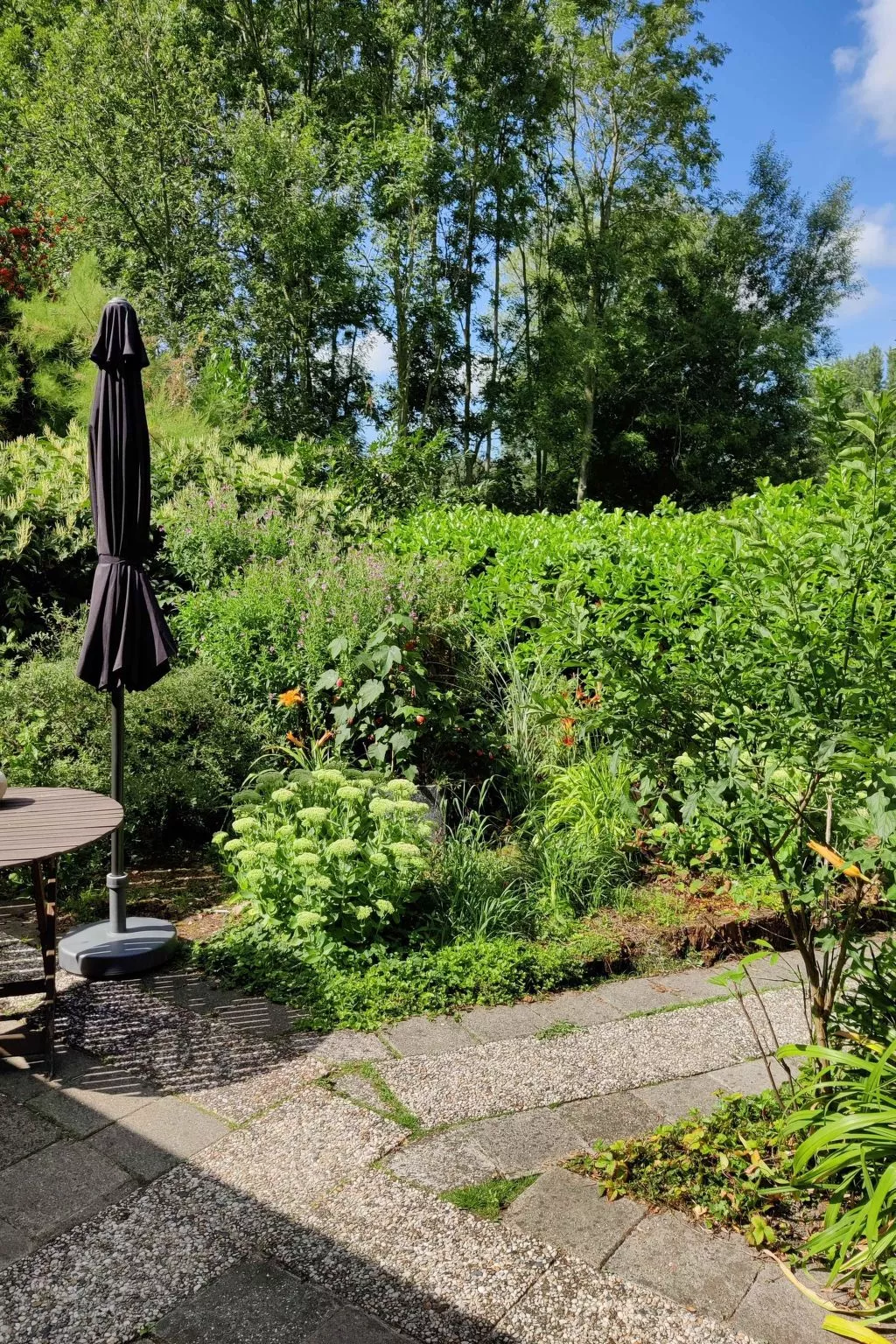 Appartement in Leeuwarden mit Privater Terrasse-Image-tags.info