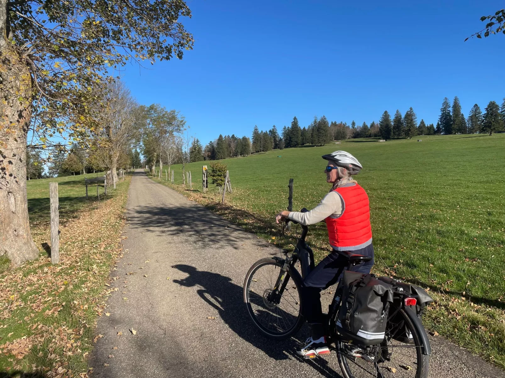 Chalet Désir, Lajoux-Draußen