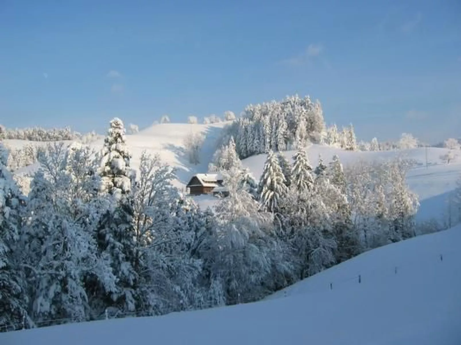 Ober-Tiefenbühl-Dehors