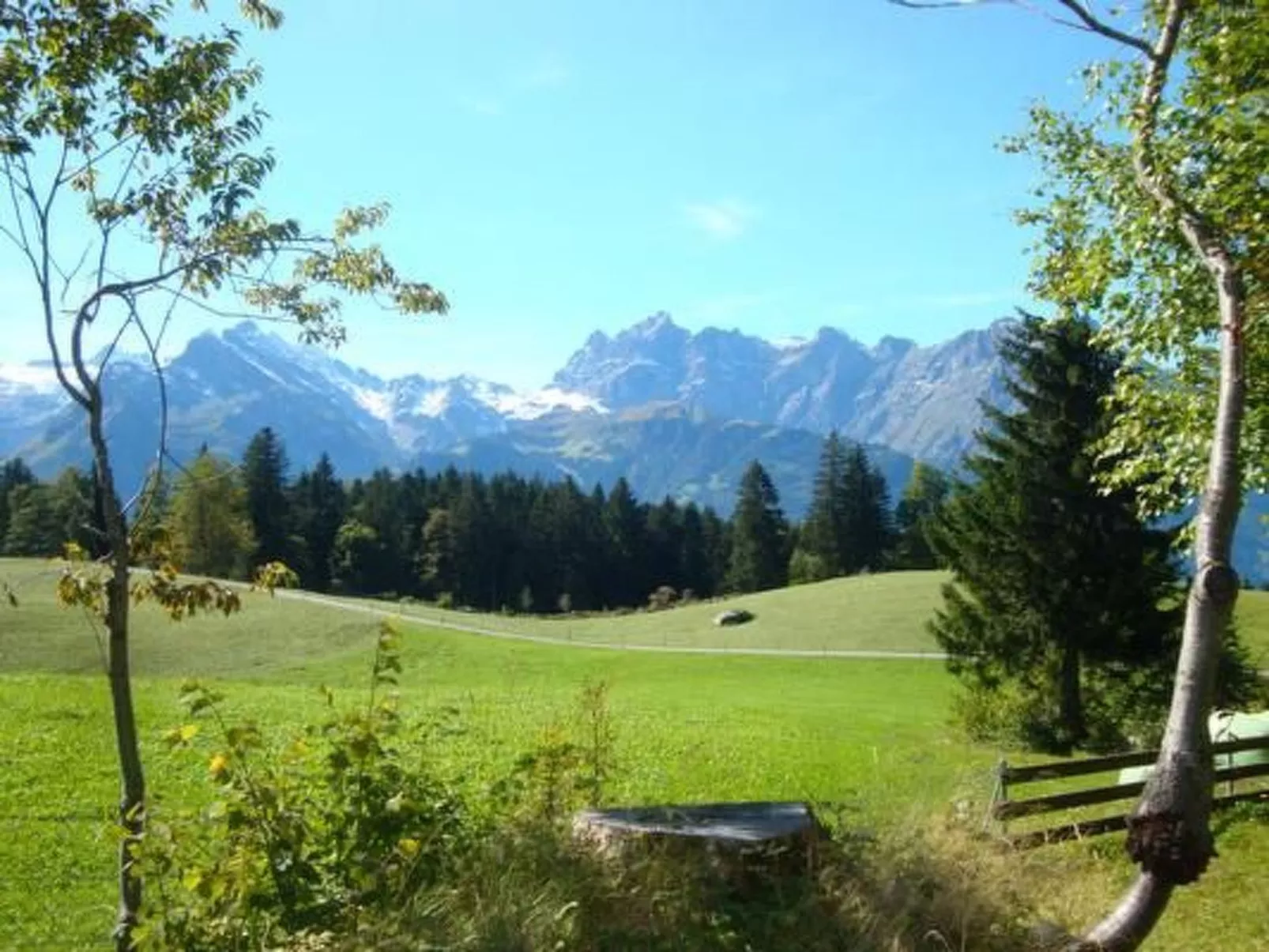 Ferien im grünen links-Dehors