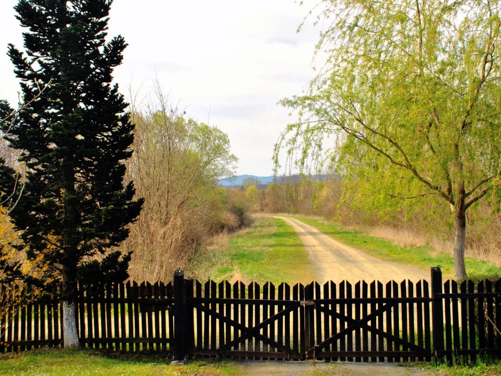 Hütte mit Garten, Grill und Terrasse-Outside