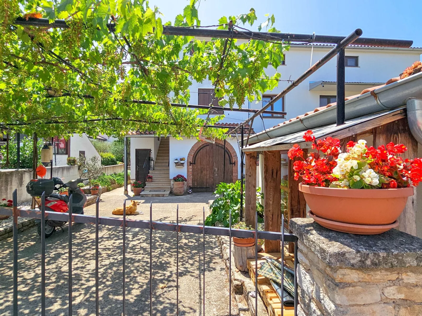 "Lara A4" mit Balkon-Outside