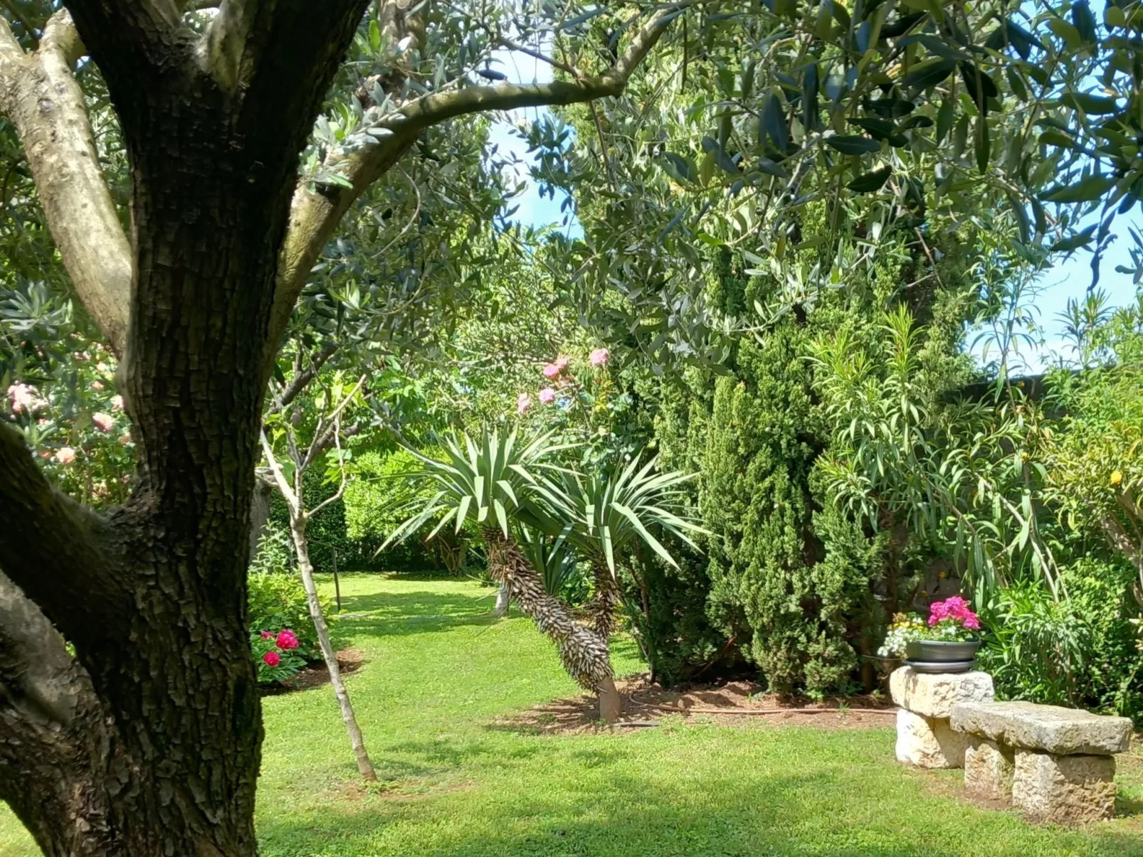 Onda, Ferienwohnung  mit  Loggia und eigener Eingang-Dehors