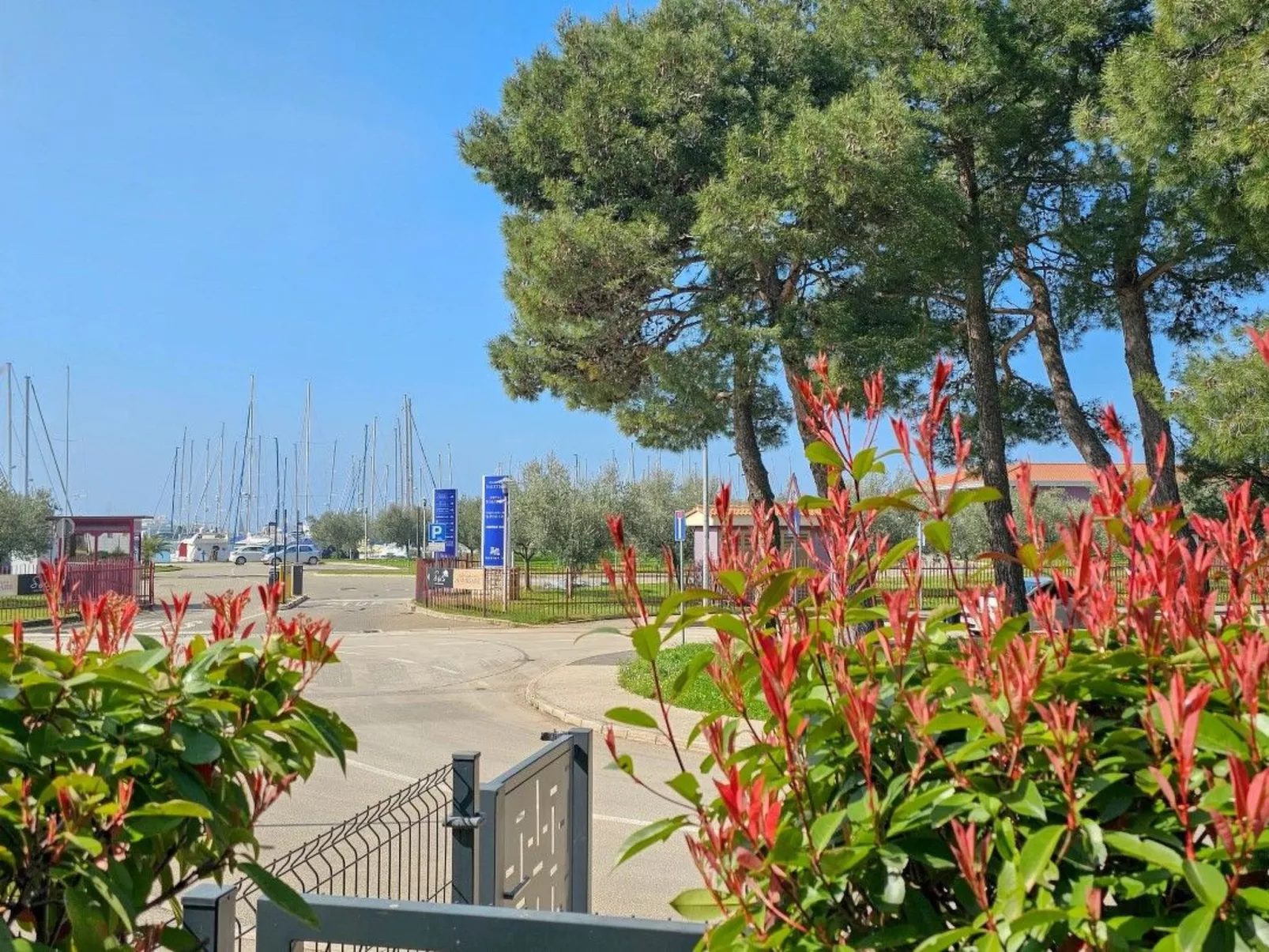 Apartment mit Terrasse für 3 Personen-Dehors