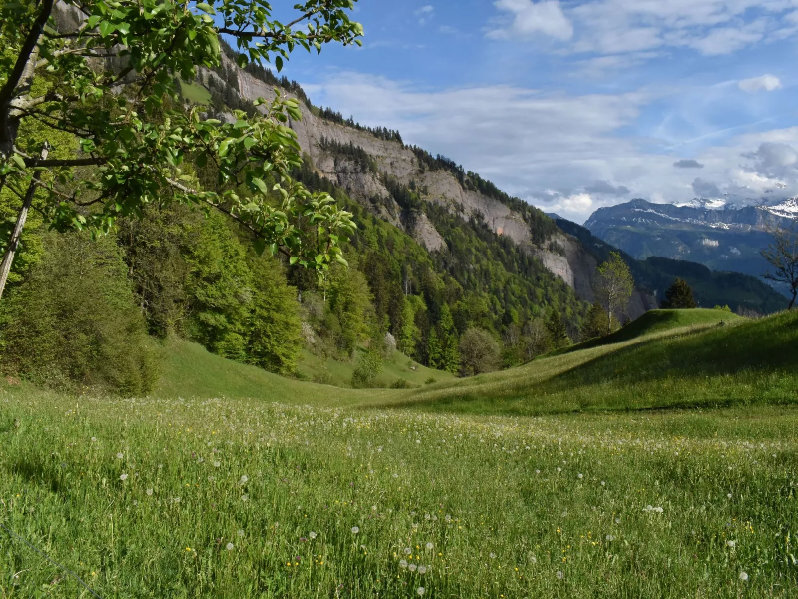 Mountain Nature Stay-Draußen