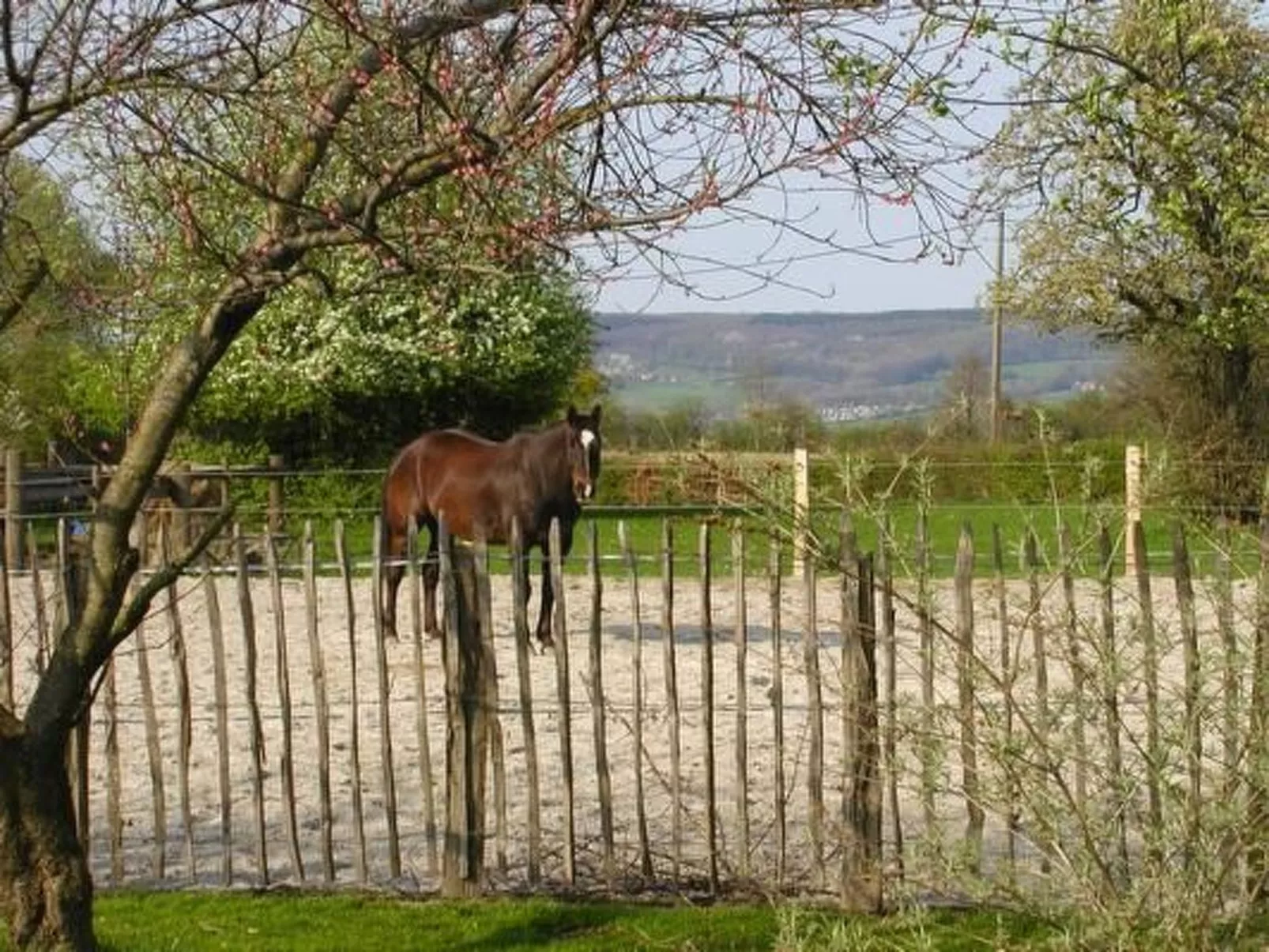 Vue au Jardin-Outside