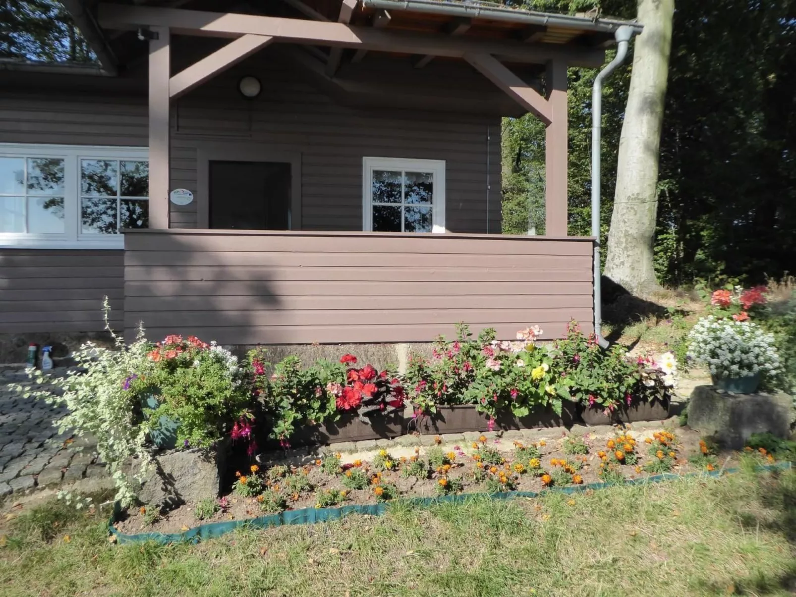 Mit Blick auf die Berge-Dehors