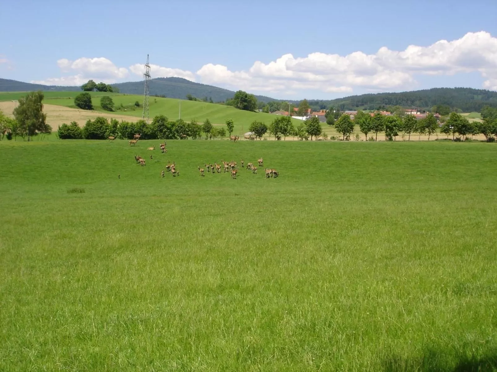 Tamara in Eppenschlag-Image-tags.info