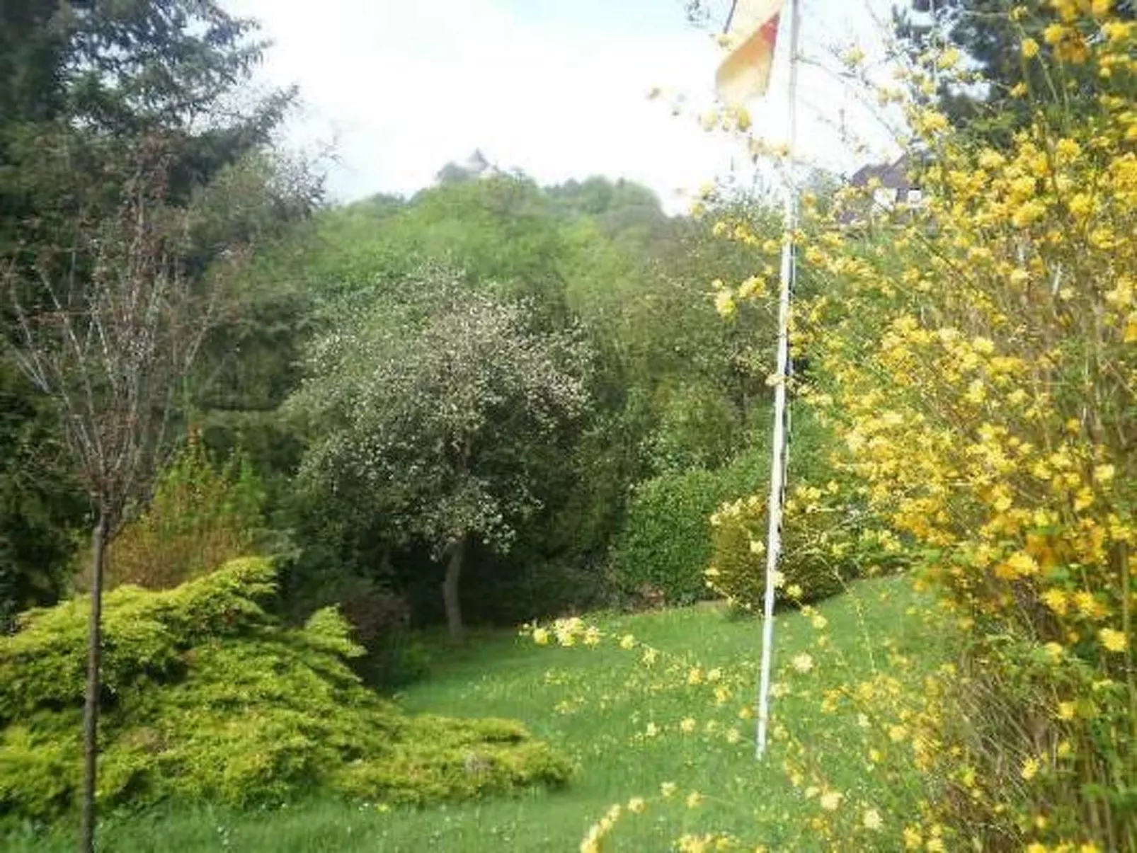 Schlossblick mit Teilseeblick-Image-tags.info