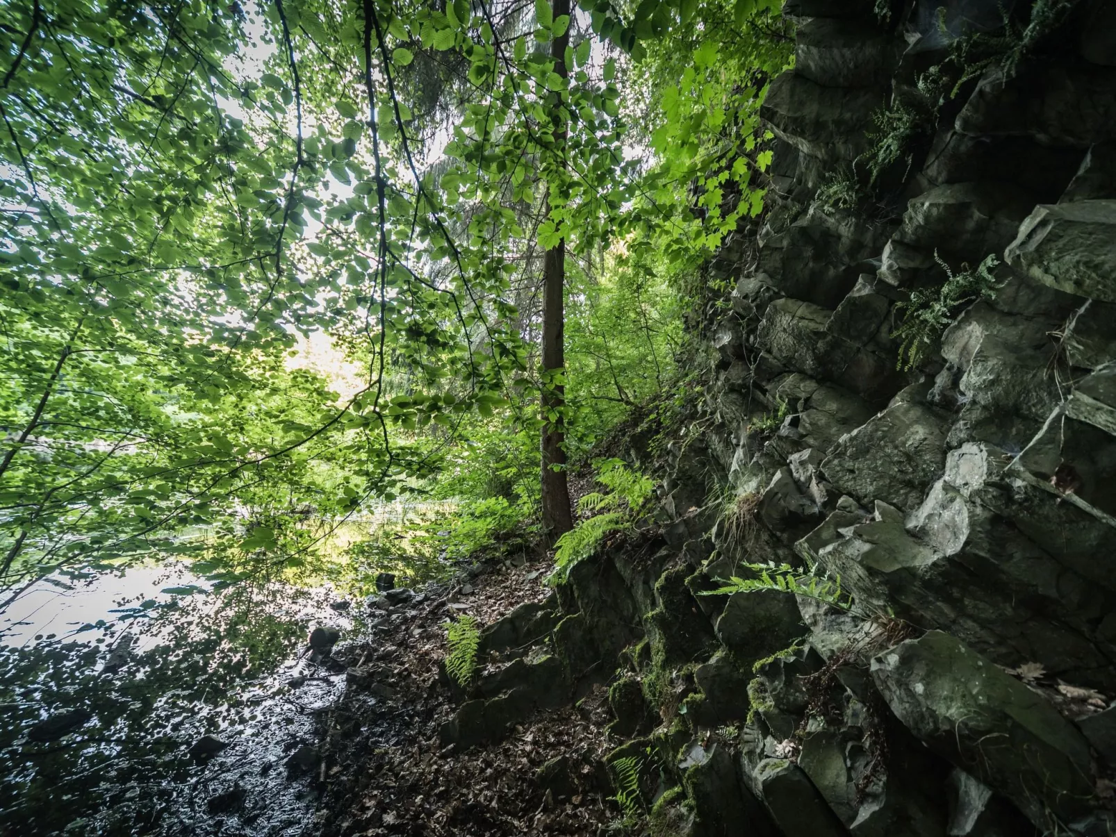 In Waldbreitbach mit Whirlpool - Dehors