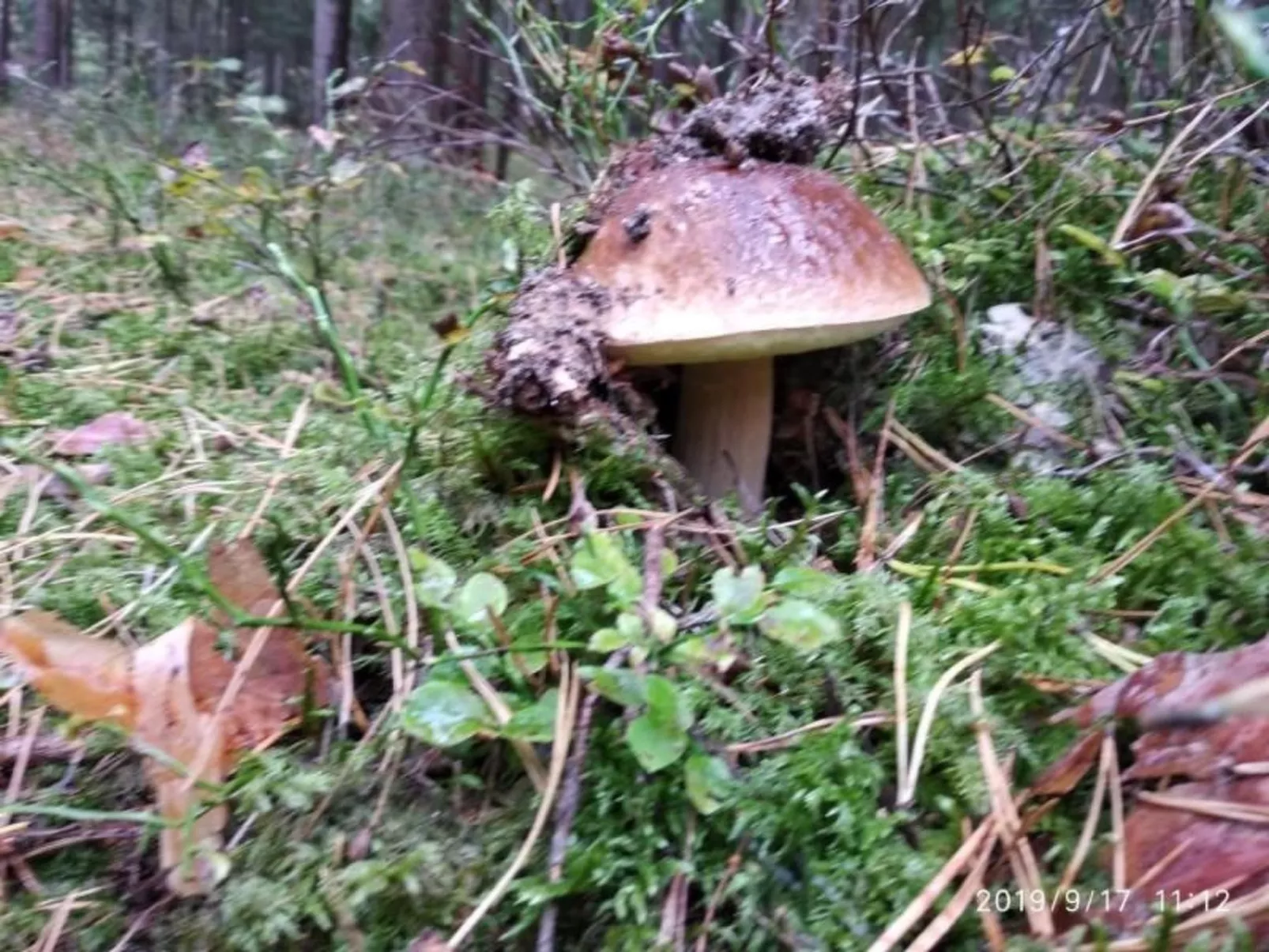 Fachwerkhaus "Paula" mit Blick auf das Wasser-Image-tags.info