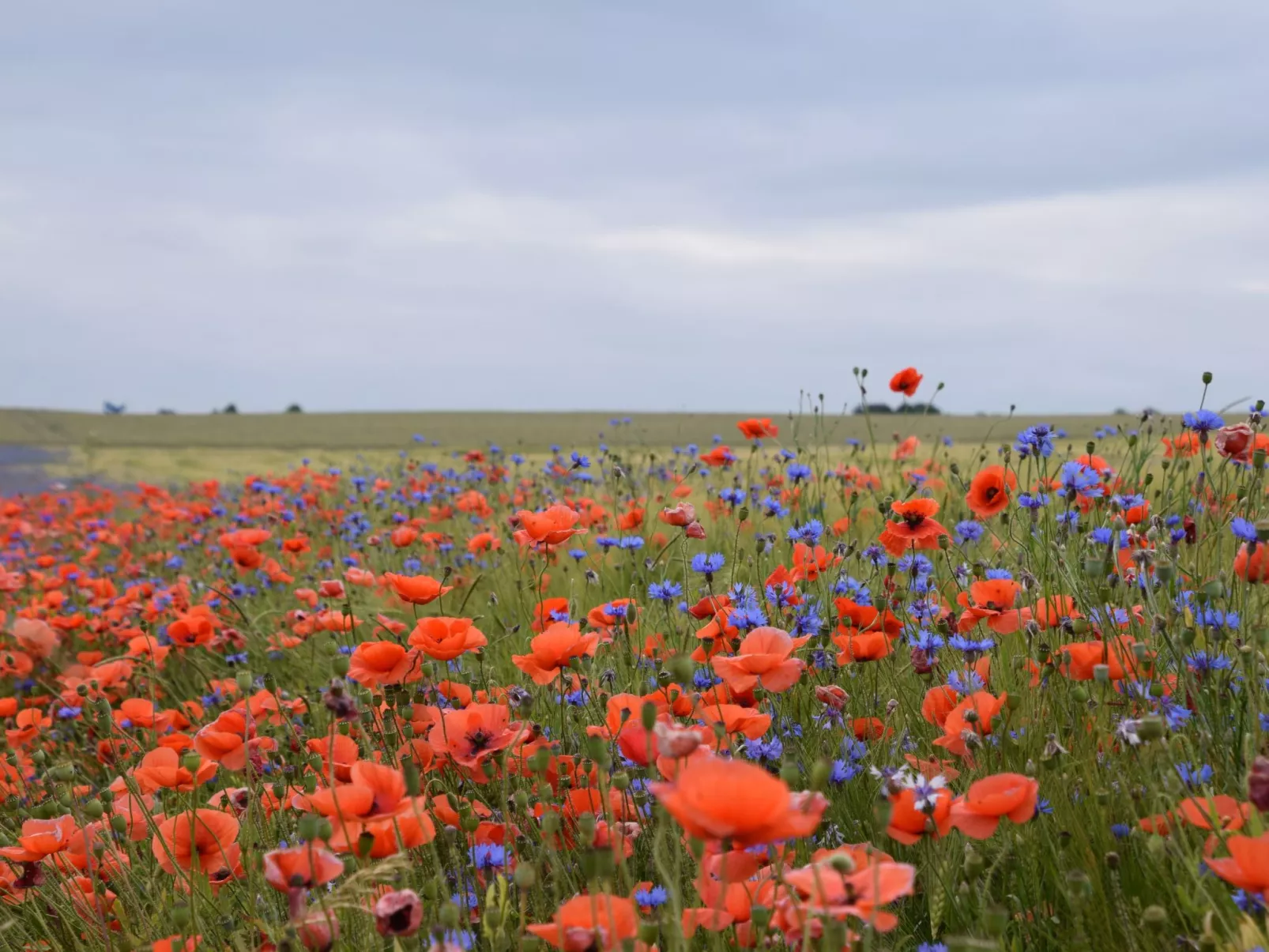 Stadt Apartement-Draußen