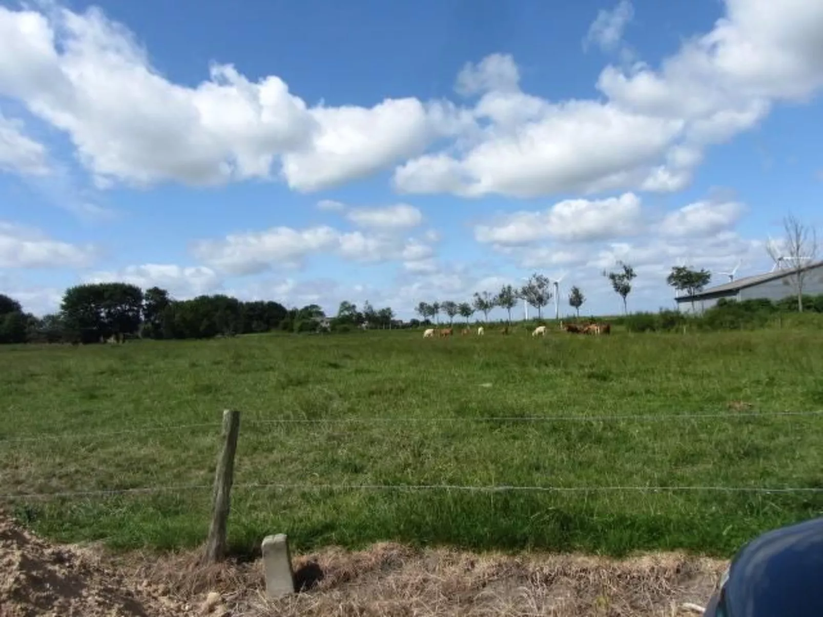 Sonnige Ferienwohnung in ländlicher Umgebung-Outside