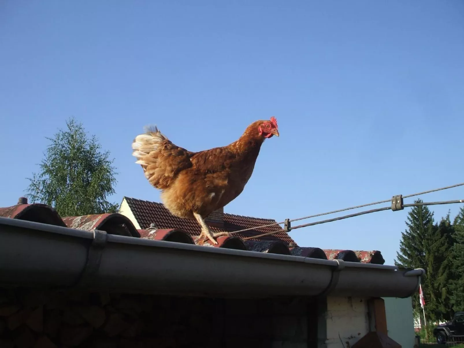 Oderhäuschen-Image-tags.info