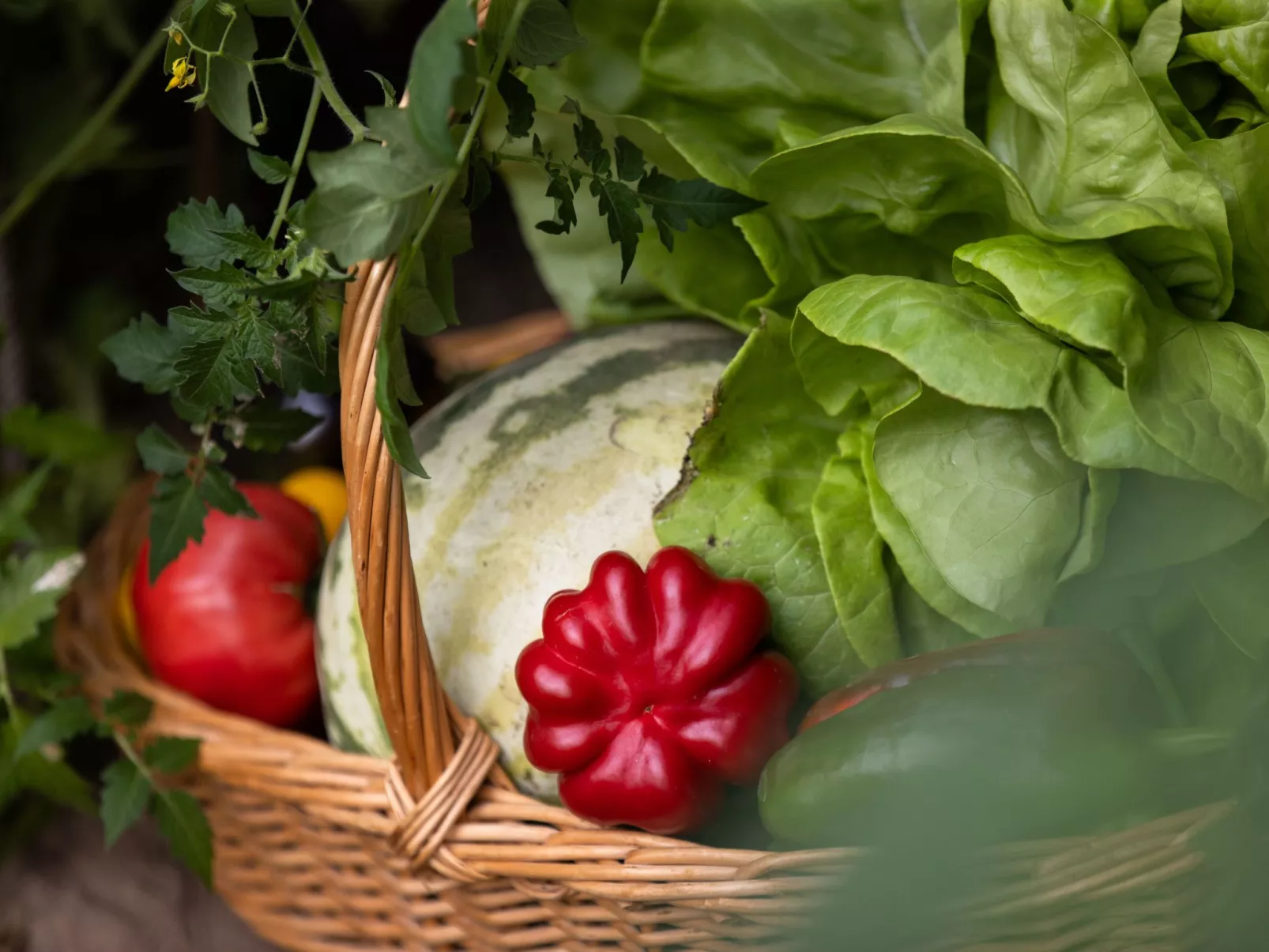 Grand Appartement-Image-tags.info