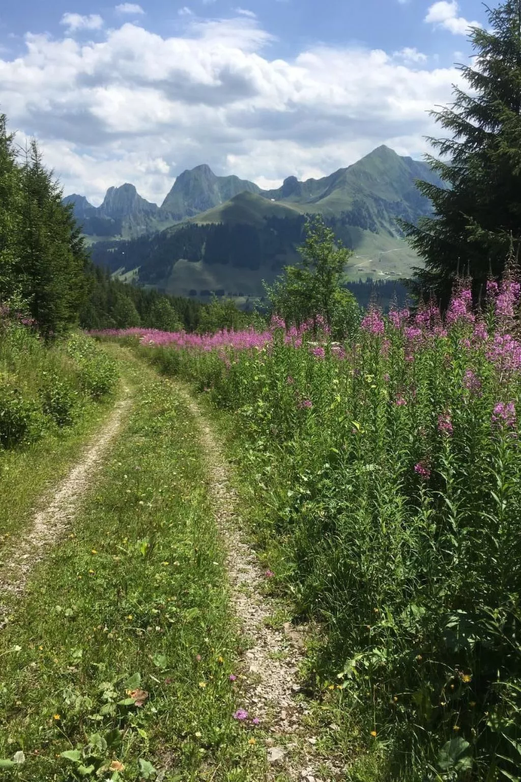 Guggershörnliblick-Draußen