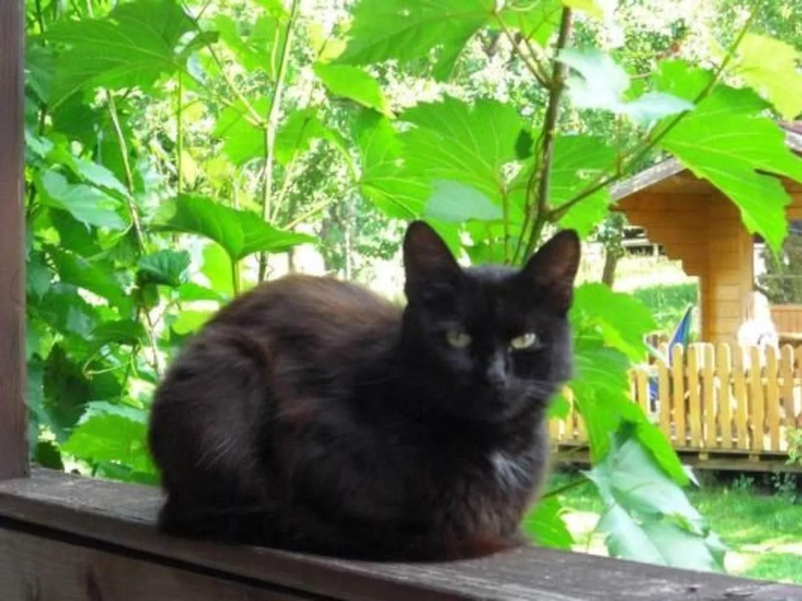 Wohnung "Himmelreich"-Draußen