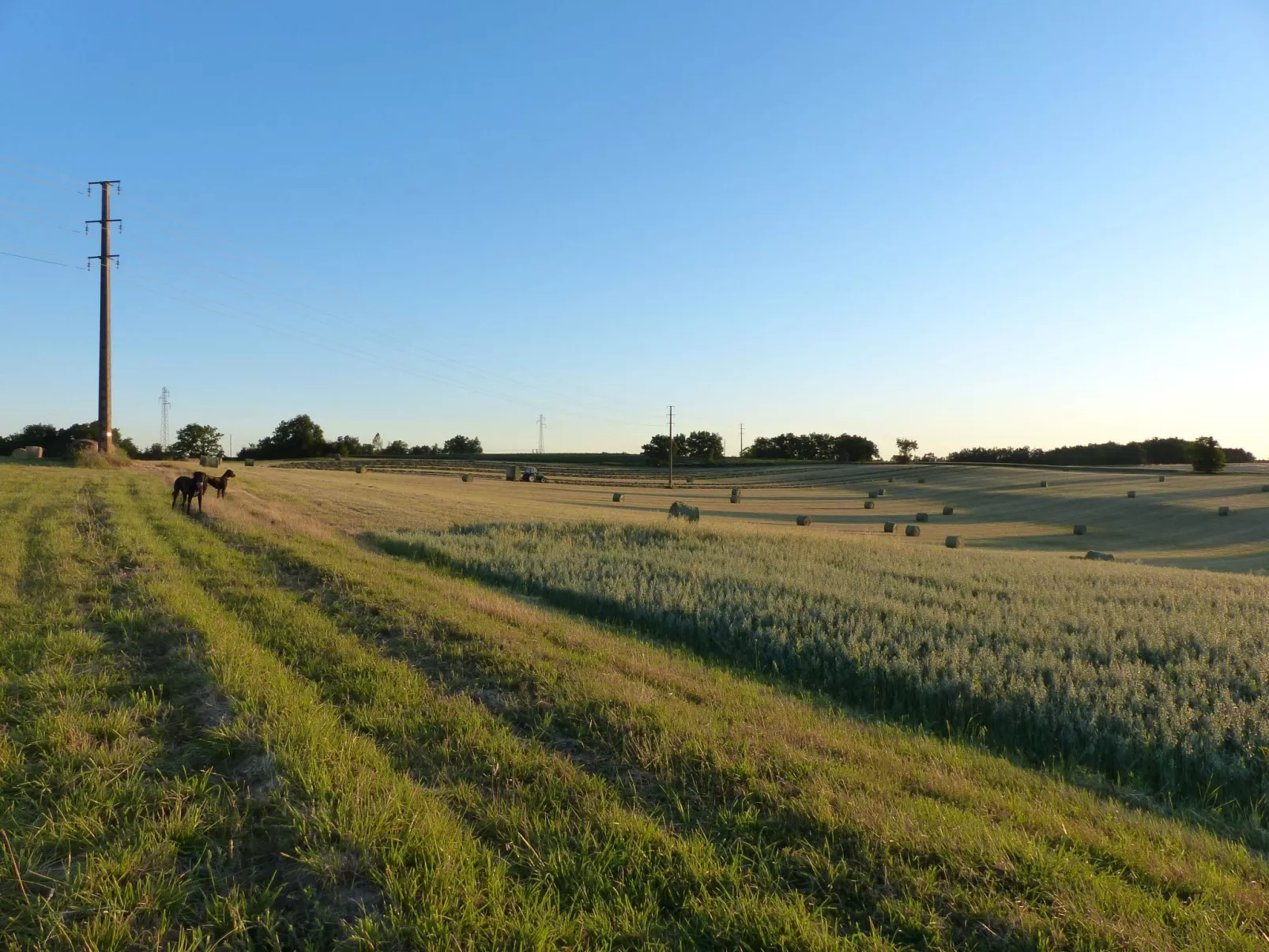 La Ferme des Paons-Image-tags.info