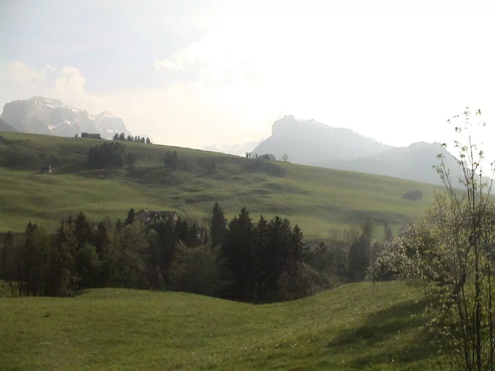 Sutter in Brülisau bei Appenzell-Draußen